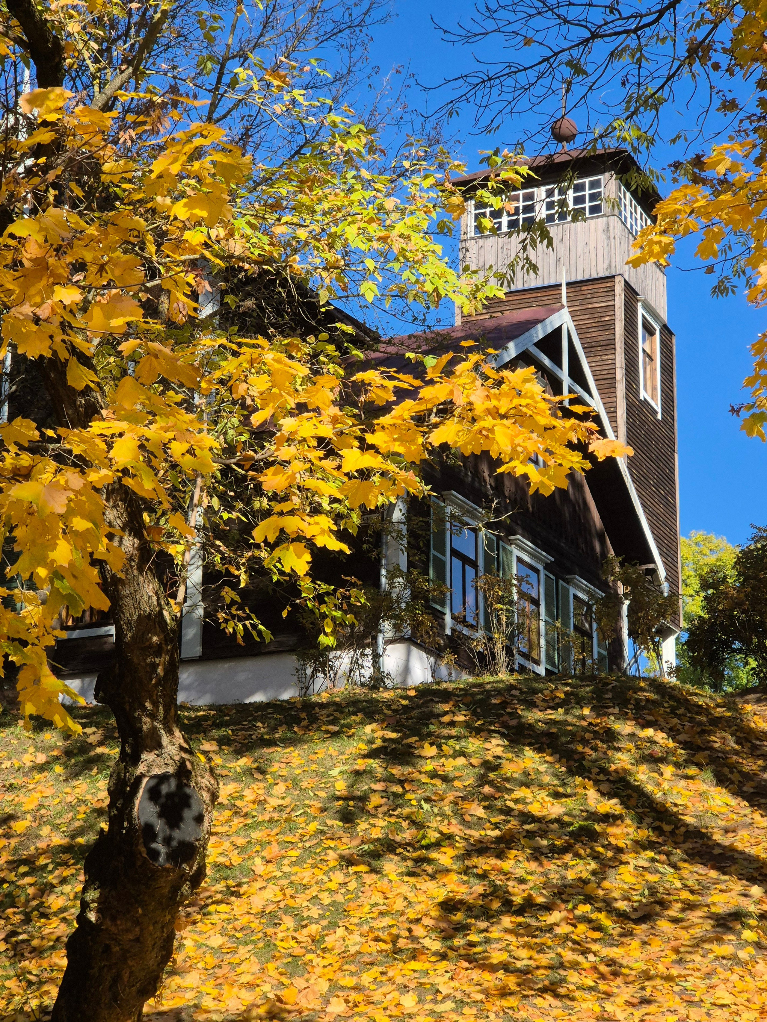 Флигель усадьбы