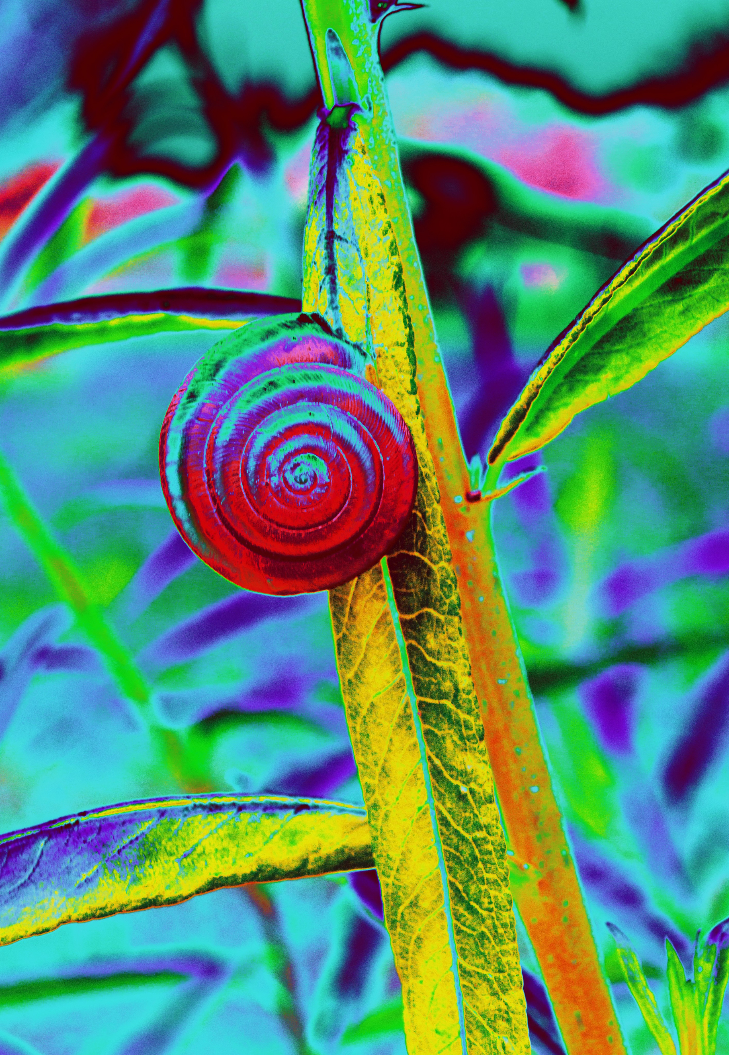 art, artist, photo, photography, photographer, contemporary art, talent, picture, pop art, gallery, фотограф, фотография, творчество, художник, рекламная съемка, творческая съемка, современное искусство, соврисск, совриск, современная фотография, творческая фотография, картины, попарт, поп арт, фото проекты, photo project, bag, сумка, cover song, обложка для музыкального альбома, обложка для книги, постер, картина