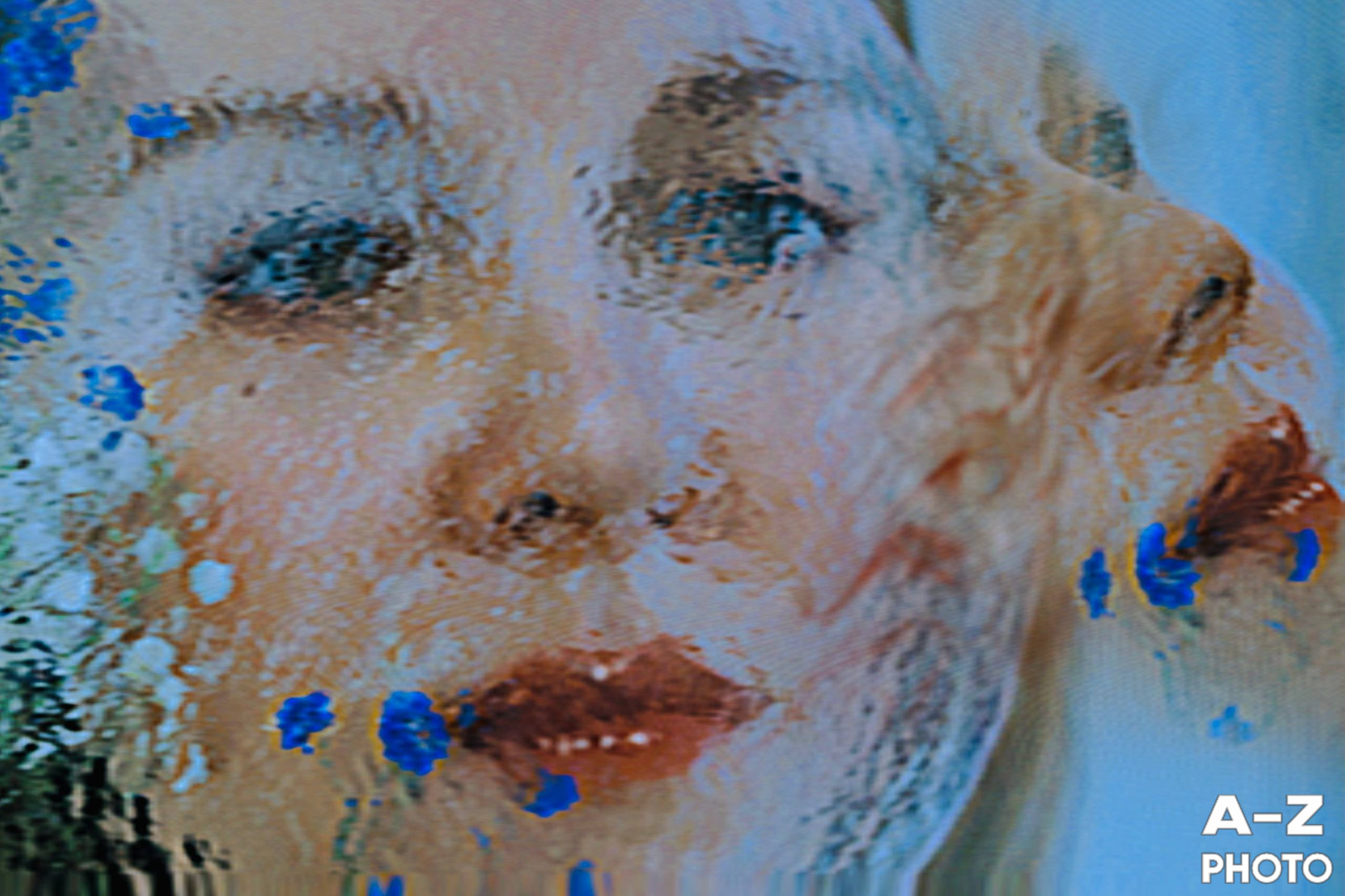 #ФОТОНЕДЕЛИ 15.02.2026. Женский семейный фотограф Тула Москва Захарова Анна