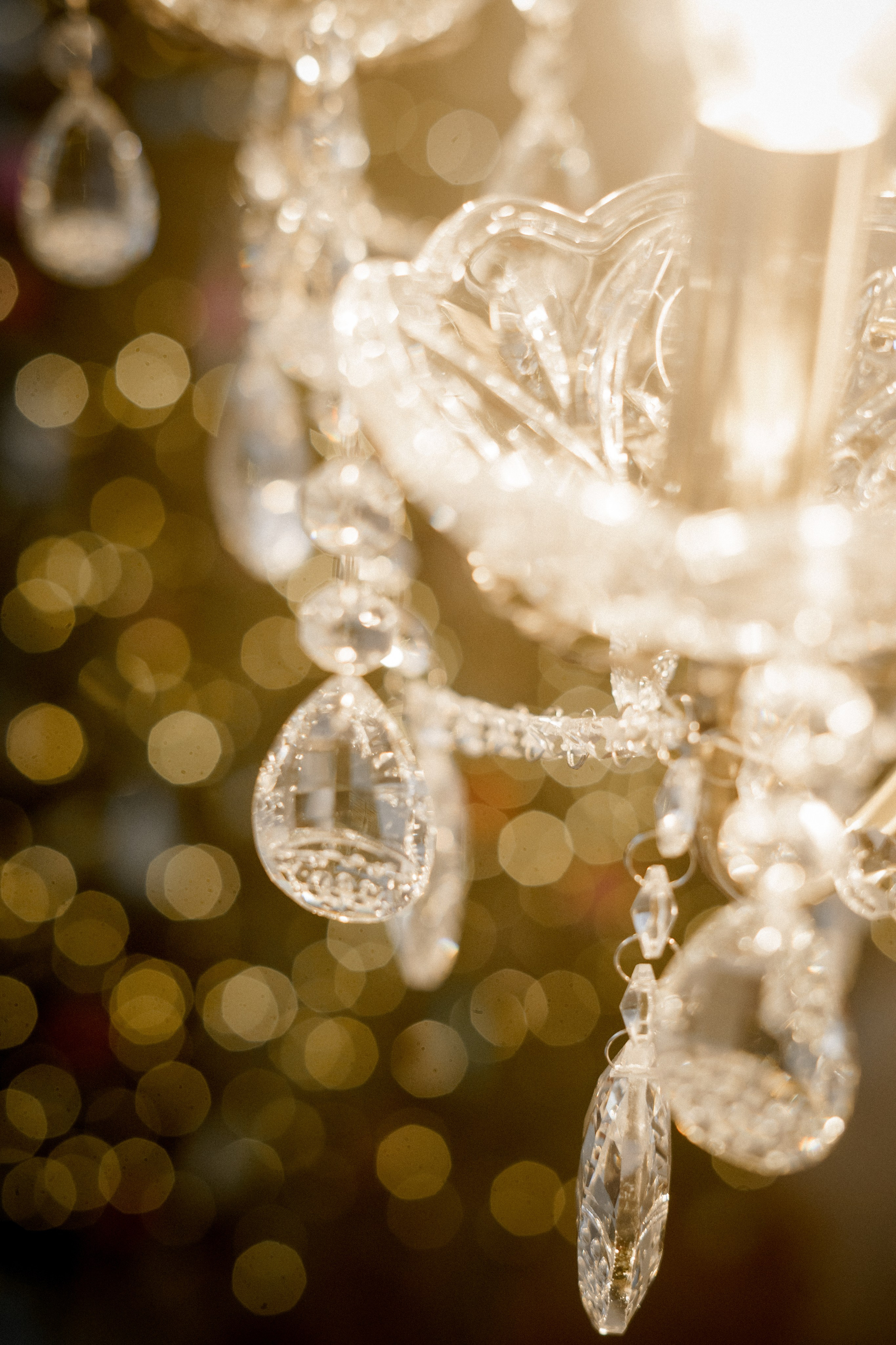 Лиза и Дима. Фотограф Валерия Крахмалева