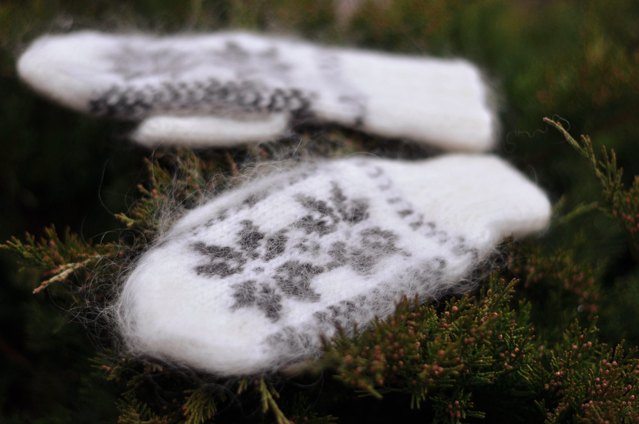 Предметная. Фотограф в Урюпинске