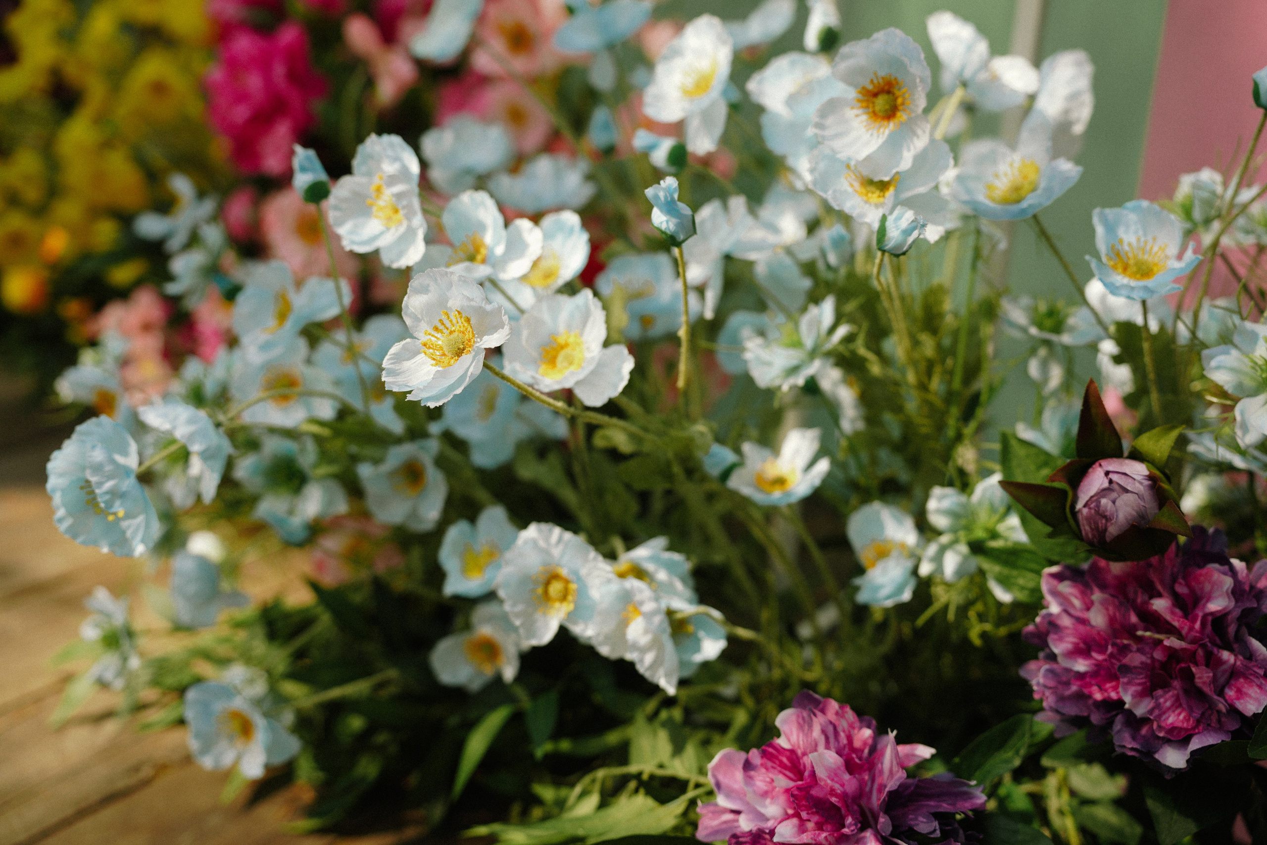 Влад и Даша. Организатор мероприятий в Абакане I Ольга Петухова
