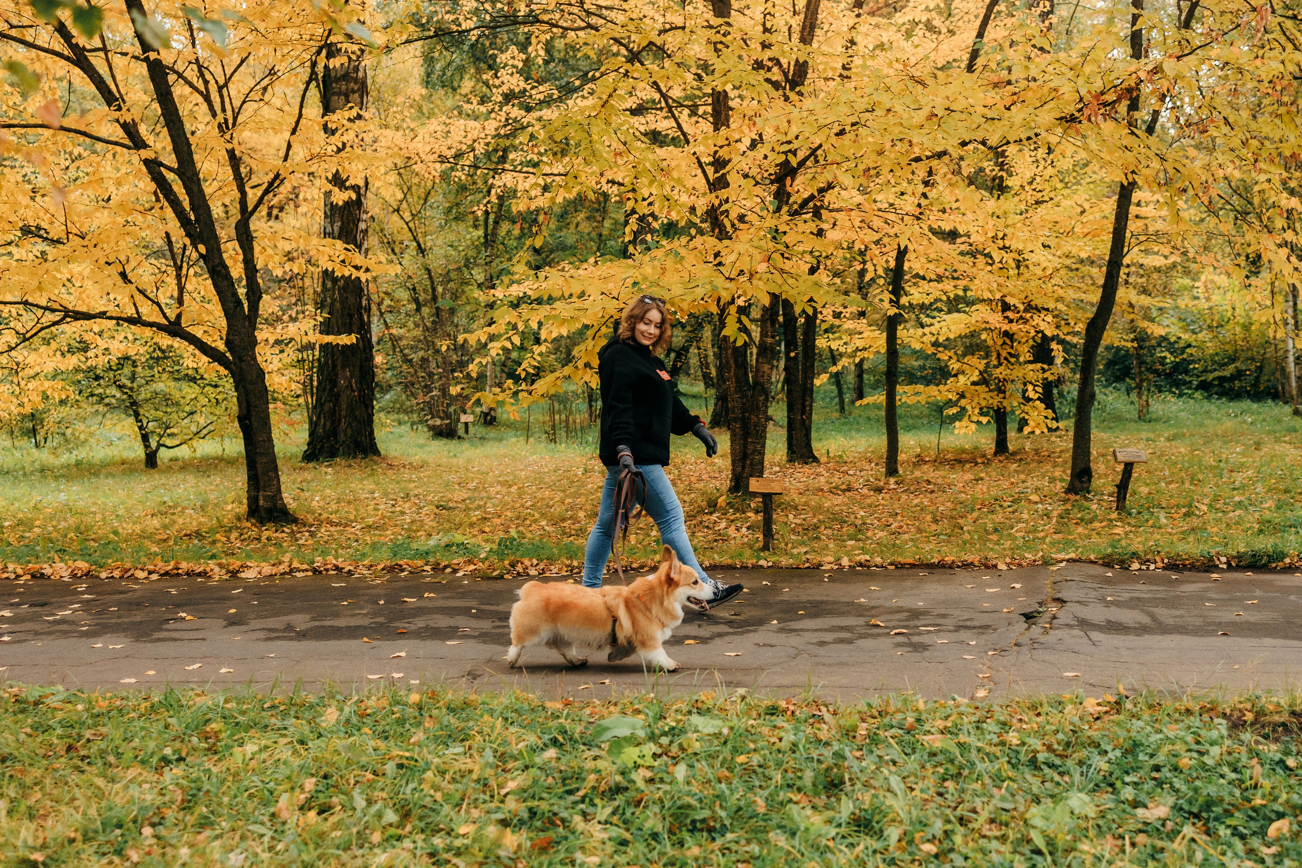 Елена и Ларри. Фотограф-анималист Елена Радченко, Москва