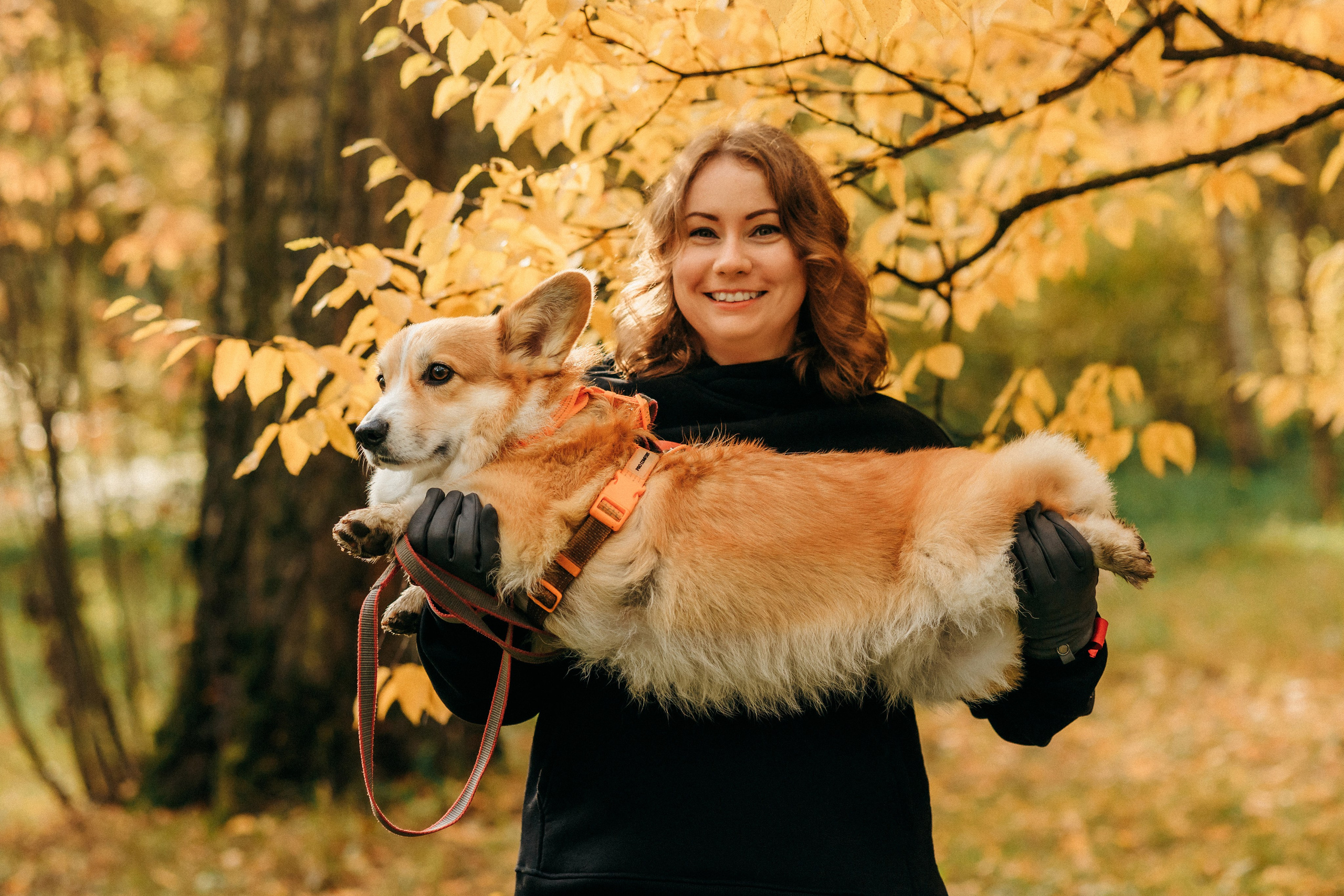 Елена и Ларри. Фотограф-анималист Елена Радченко, Москва