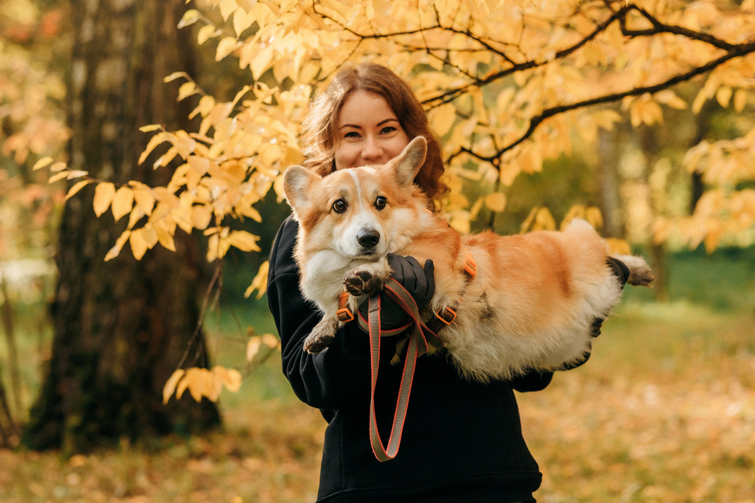 Елена и Ларри. Фотограф-анималист Елена Радченко, Москва