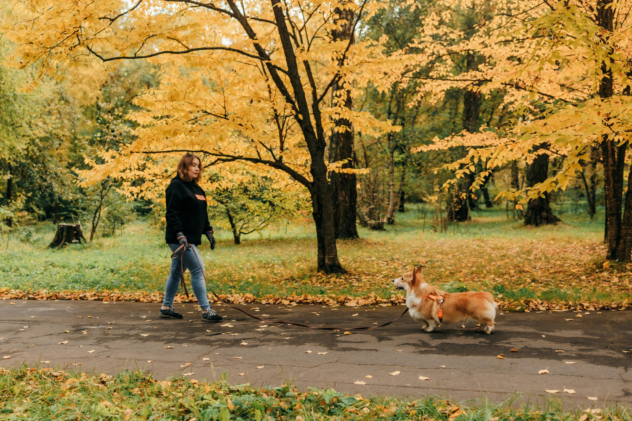 Елена и Ларри. Фотограф-анималист Елена Радченко, Москва