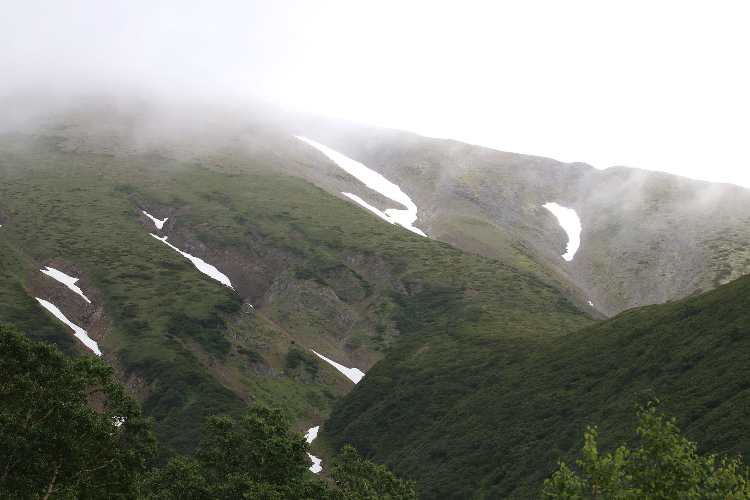 Камчатка и о. Парамушир. Июль 2024. Путешественник-фотограф из Санкт-Петербурга Татьяна Свистулина