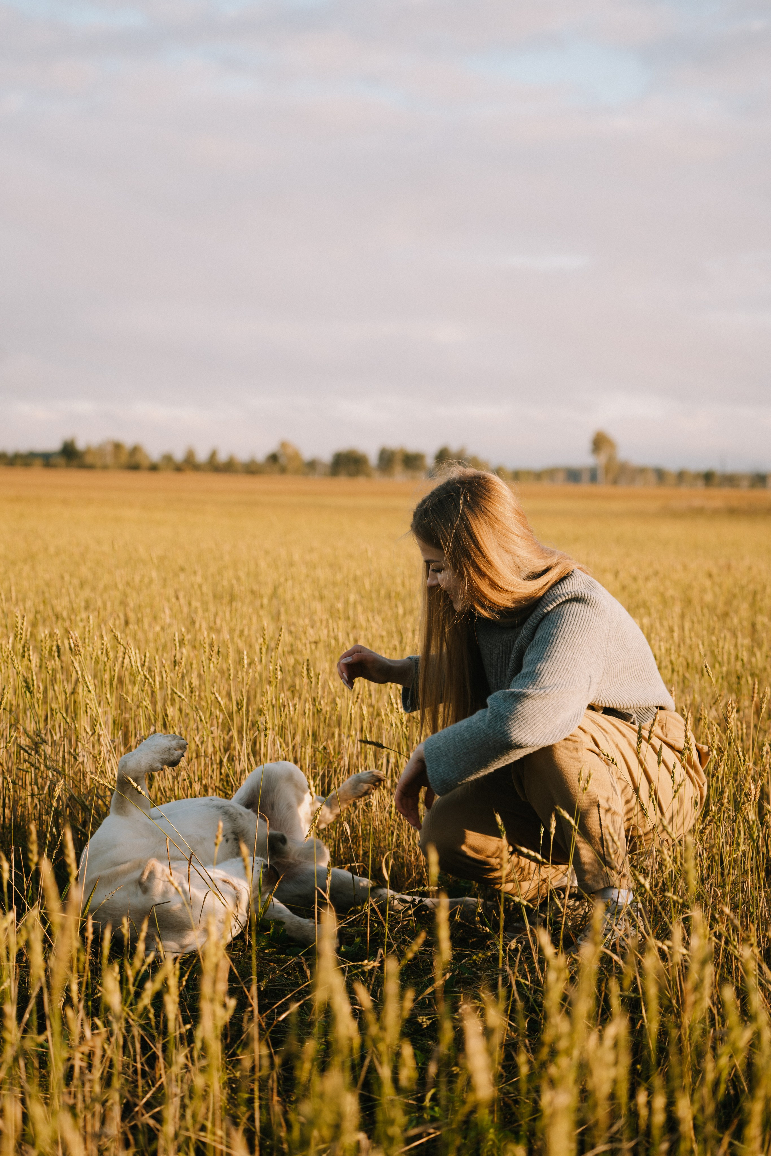 Дана и Арчи. Фотограф-анималист Анастасия Большакова