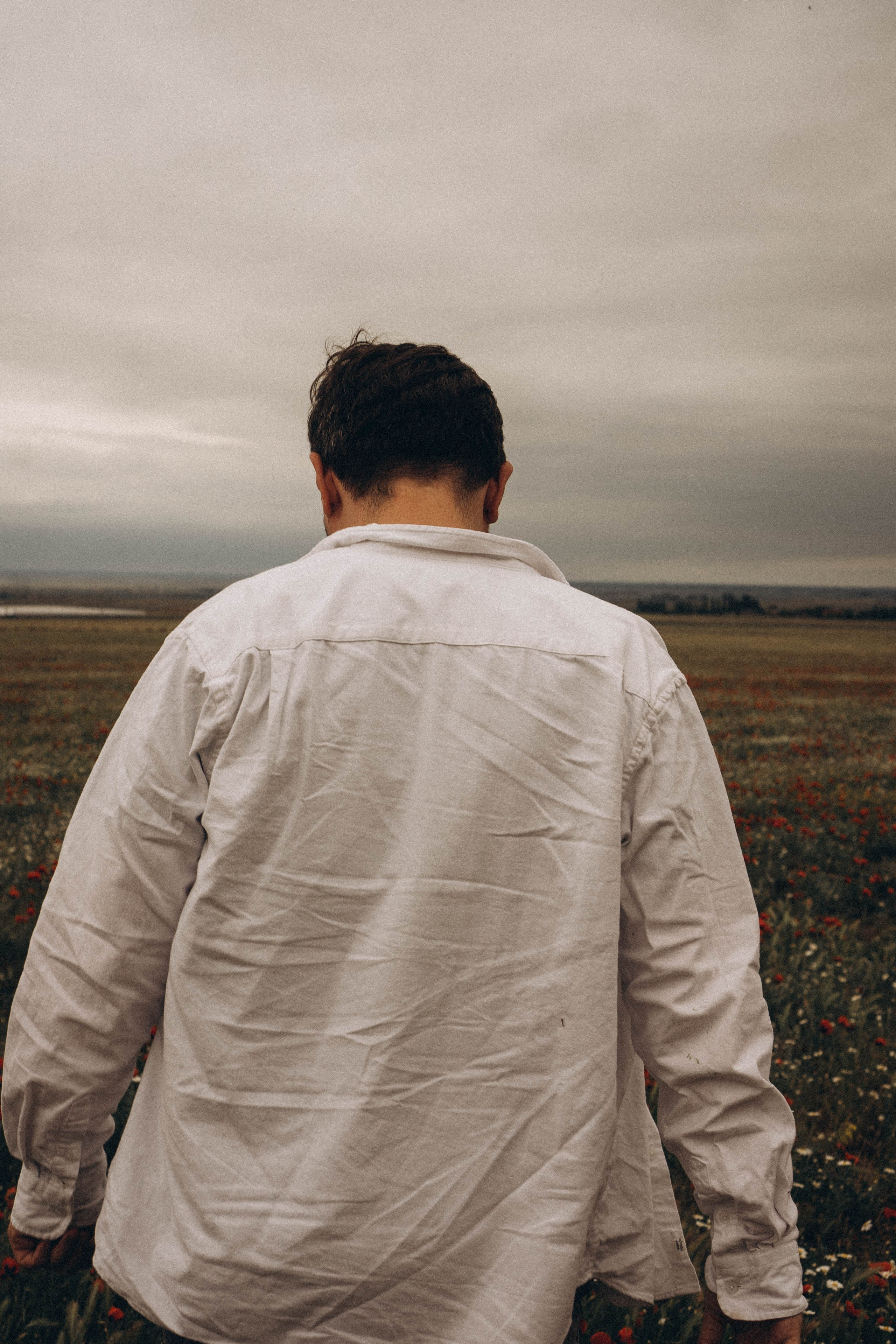 Маки. Профессиональный фотограф, Санкт-Петербург — Виктория Богомолова