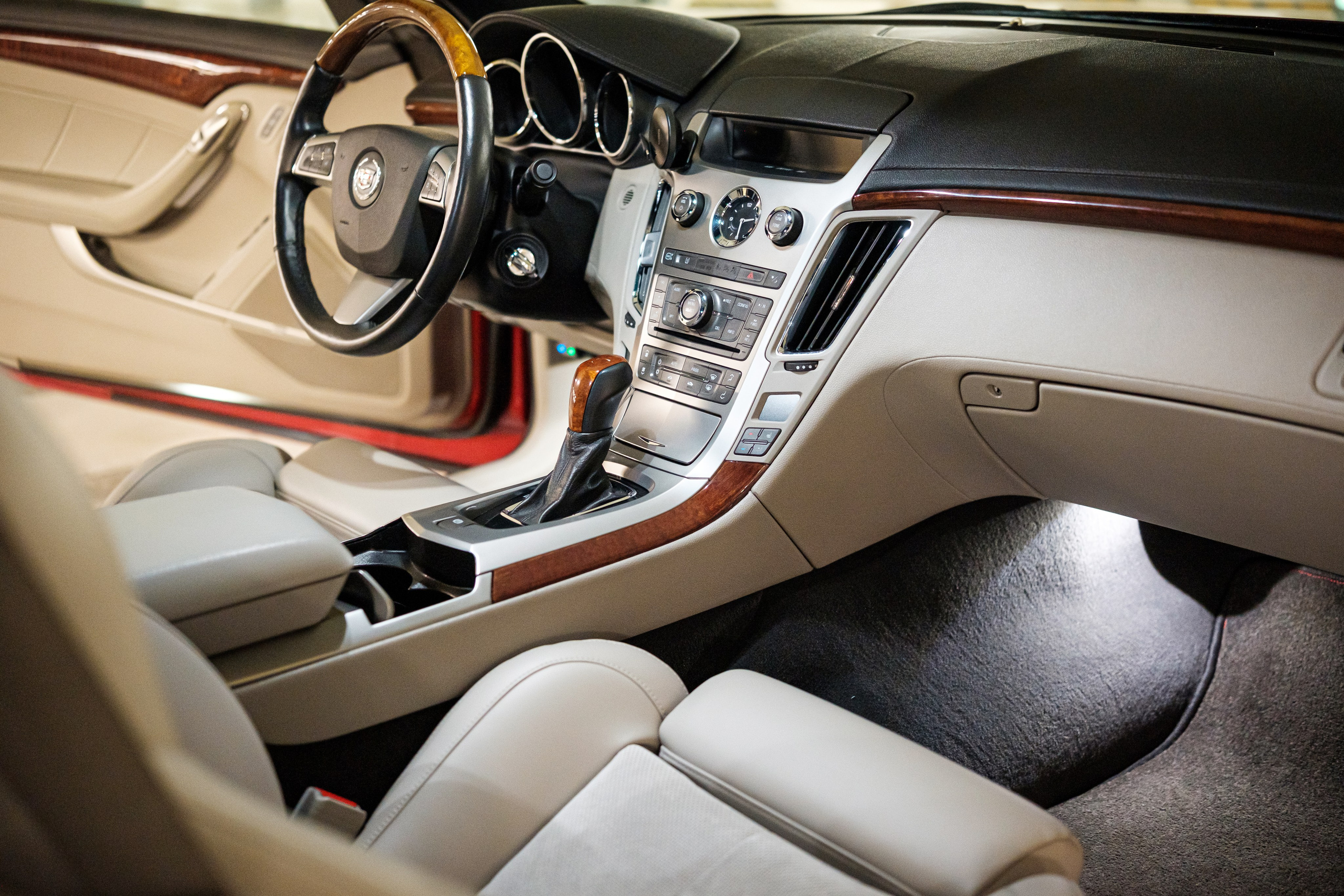 Кэдди. Алексей Никифоров фотограф Москва, Химки