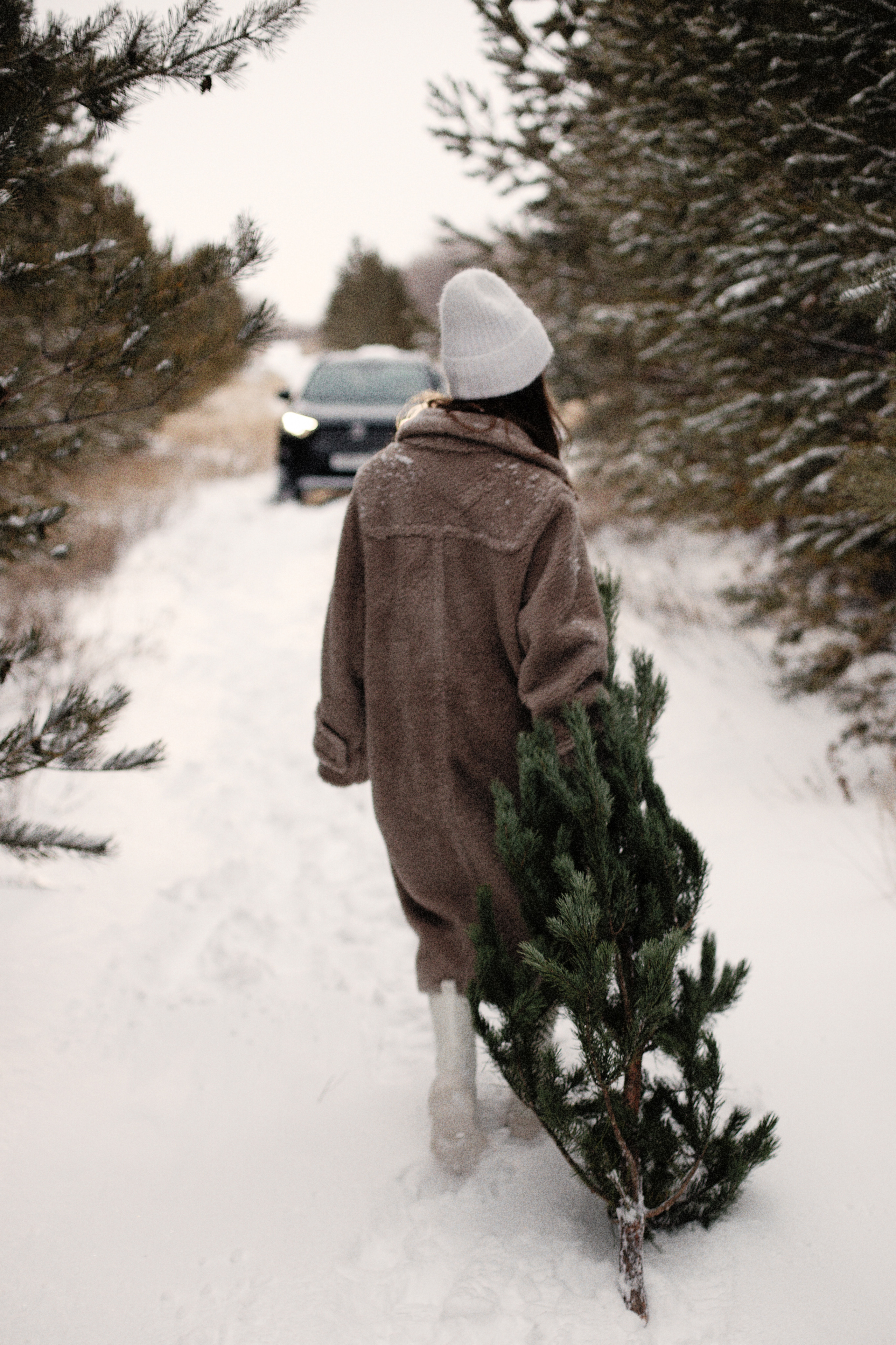 Индивидуальные и семейные фотосессии. Фотограф Елена Зуйкова