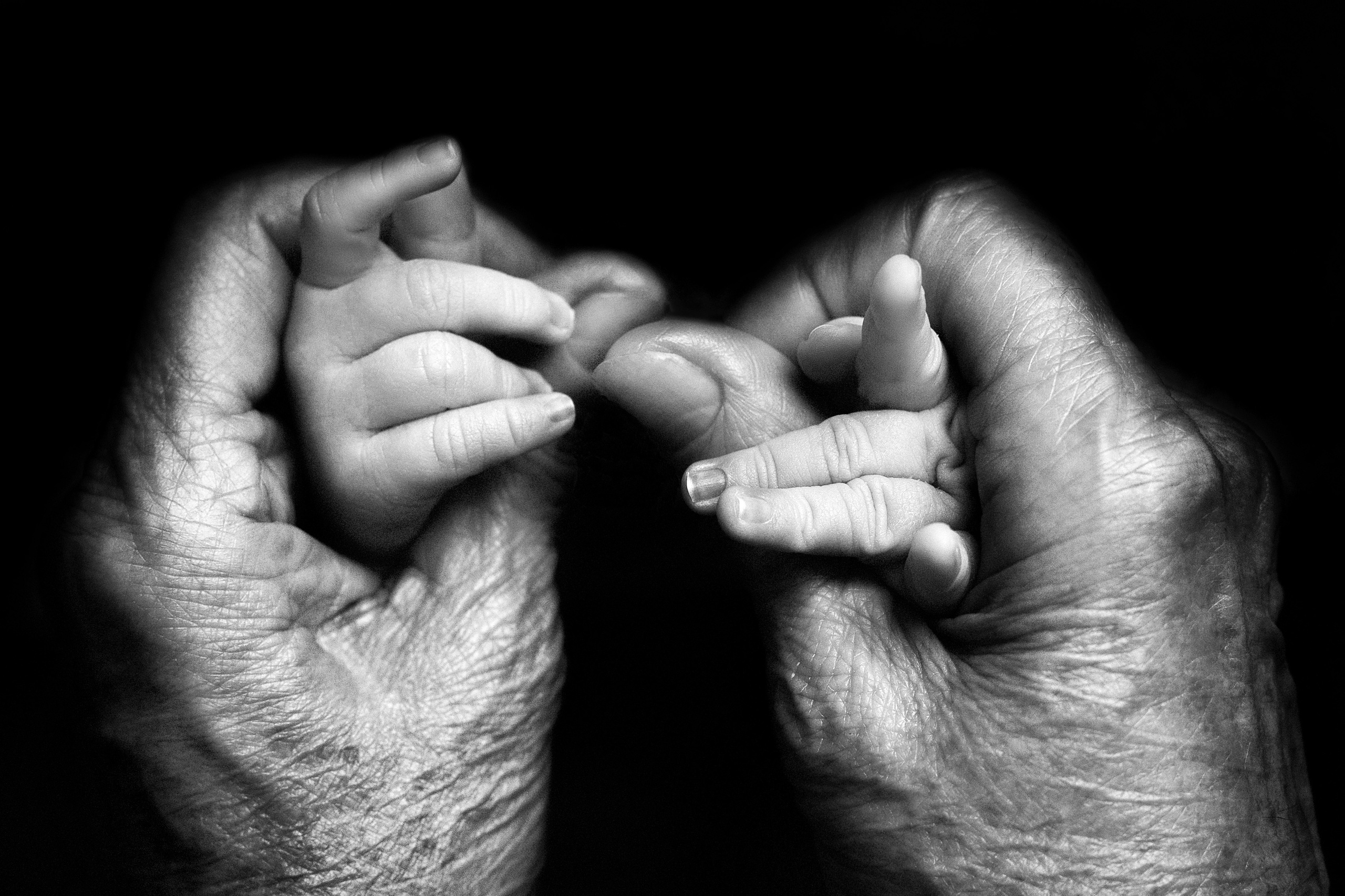 Новорожденные малыши. Фотограф Елена Зуйкова