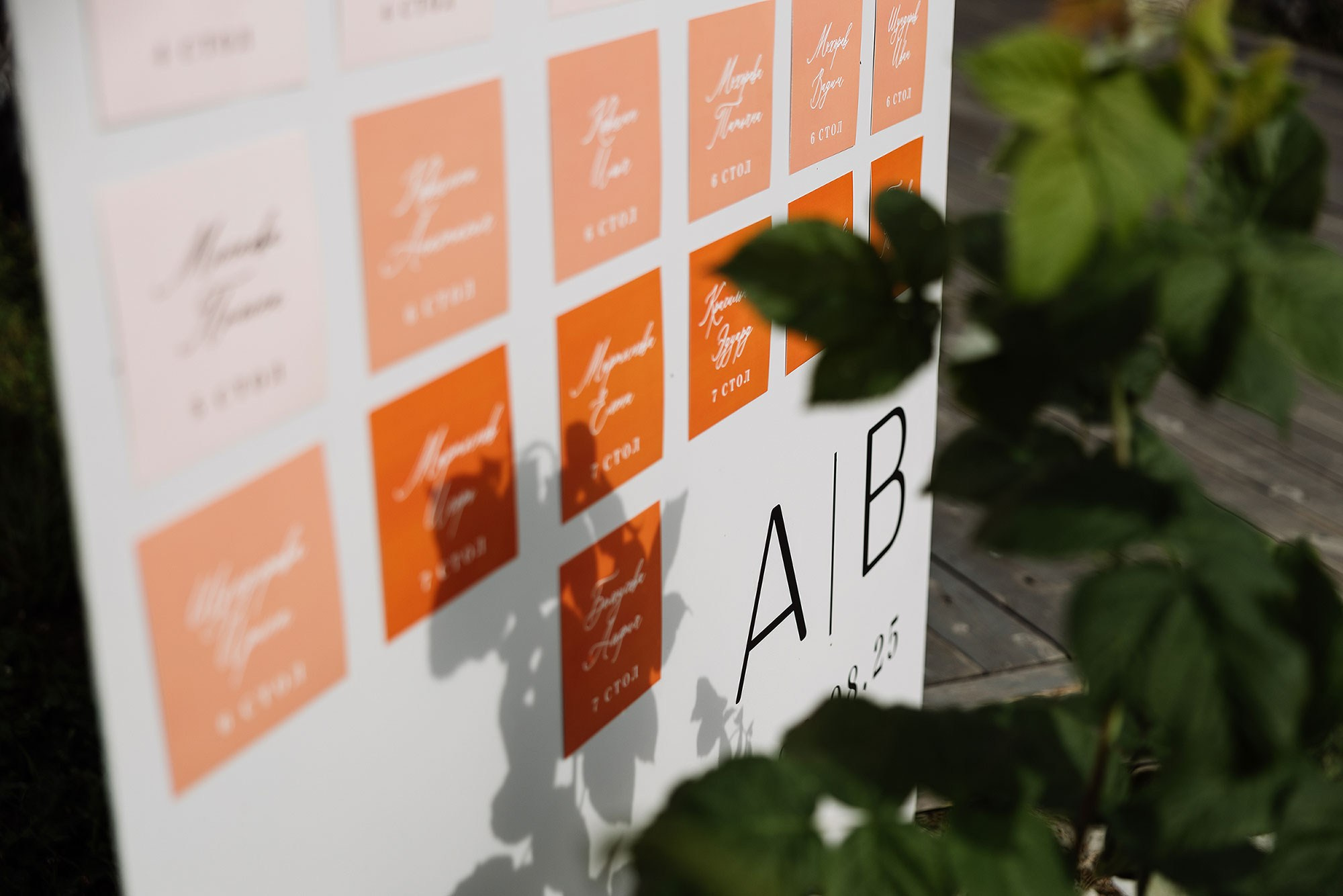 Лера и Лёша