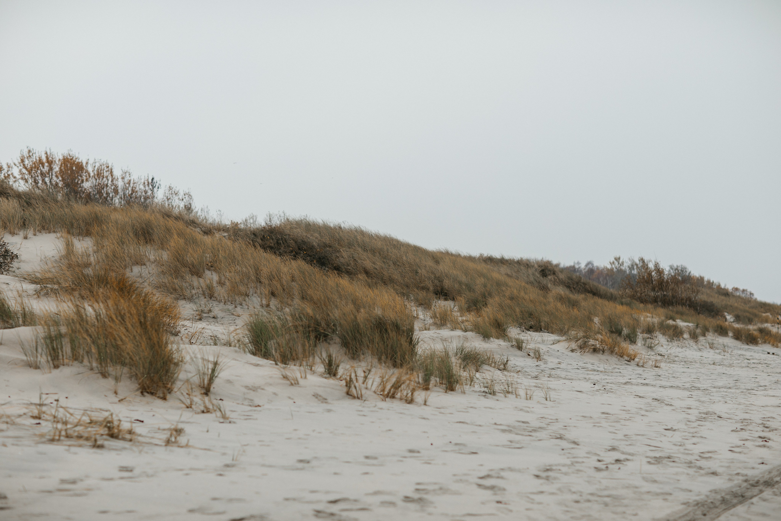 Балтийск/Калининград. Свадебный и семейный фотограф/видеограф в Краснодаре Наталья Осинская