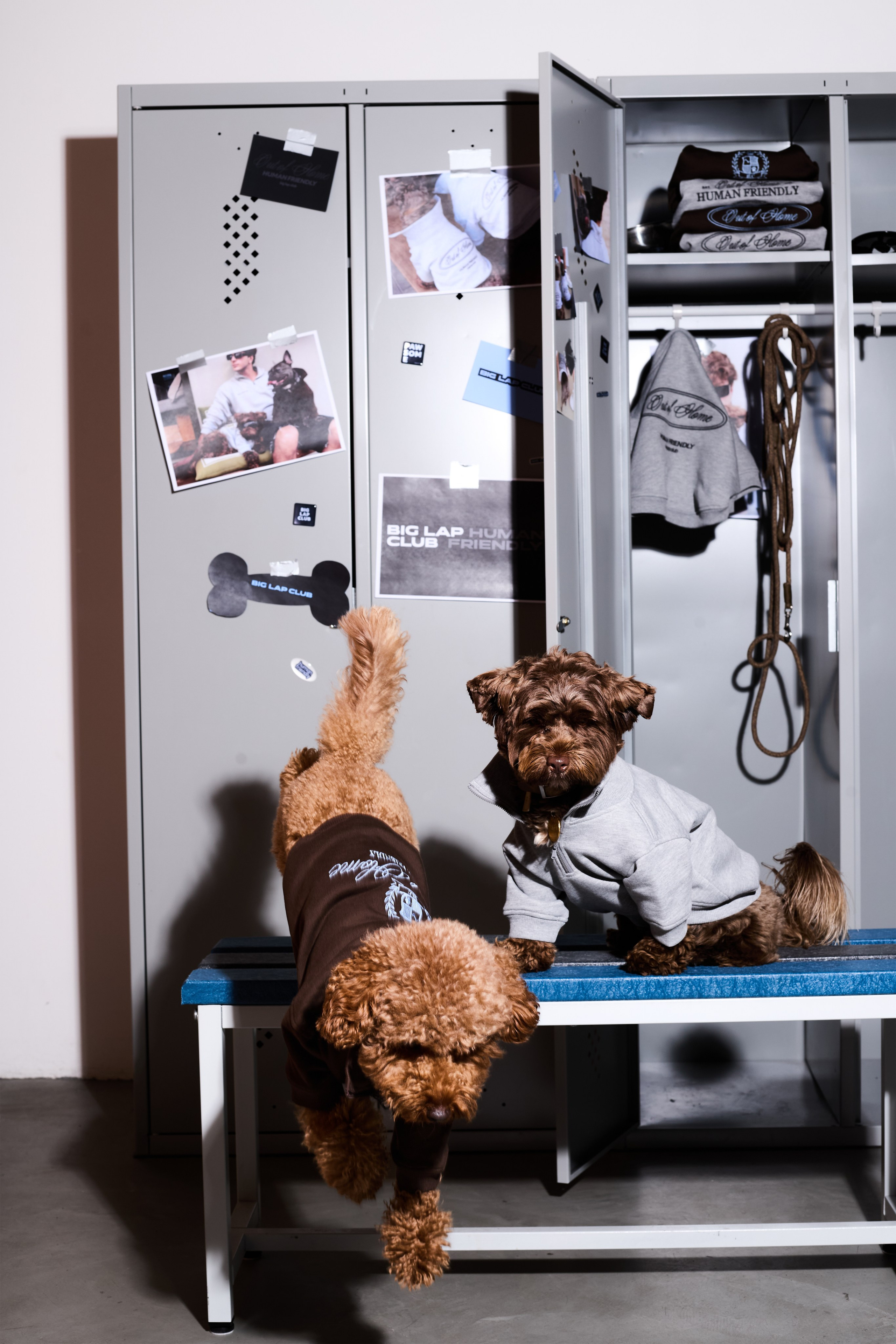 Big Lap Club. Фотограф|Москва-СПб| Анастасия Рябинина