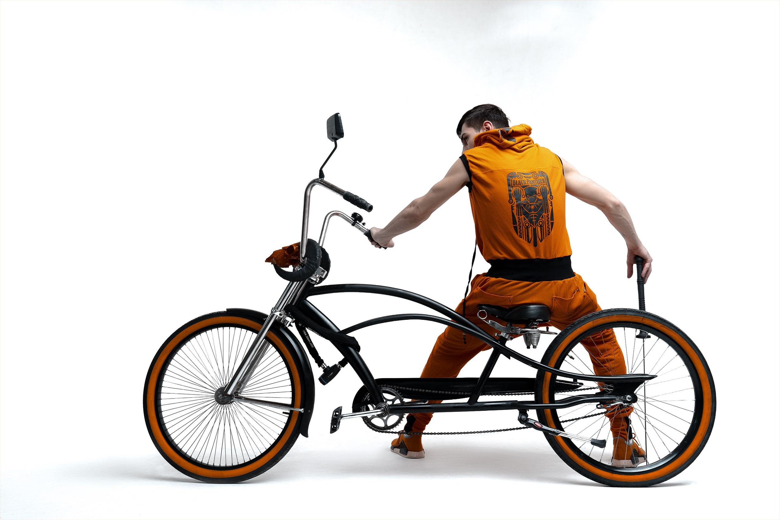 DOBERMAN. Фотограф TAULAN_1