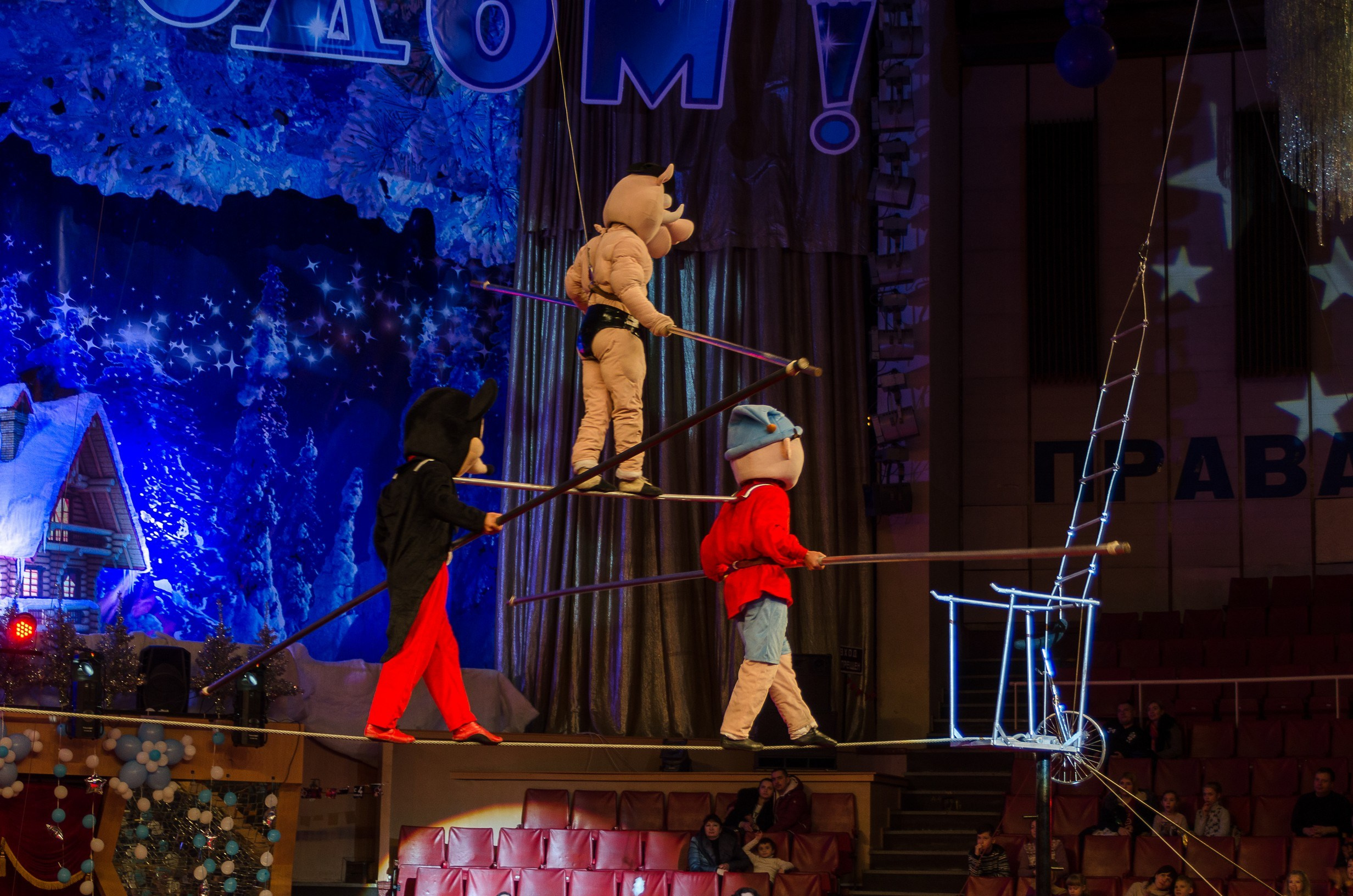 Цирк. Фотограф в РФ и ЛНР Юлия Федосеева