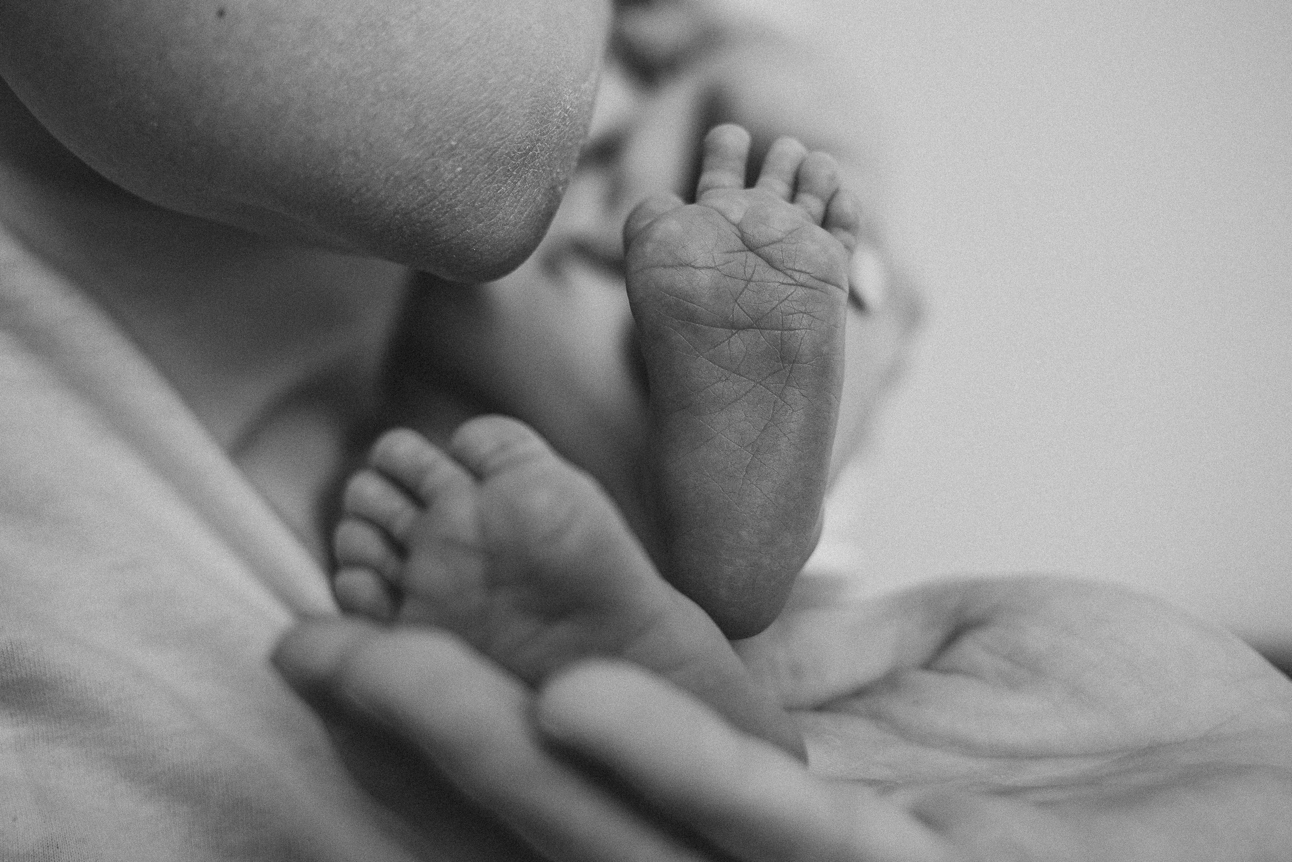 Паша/Катя/Алиса/Тимофей/Егор. Свадебный и семейный фотограф в Екатеринбурге