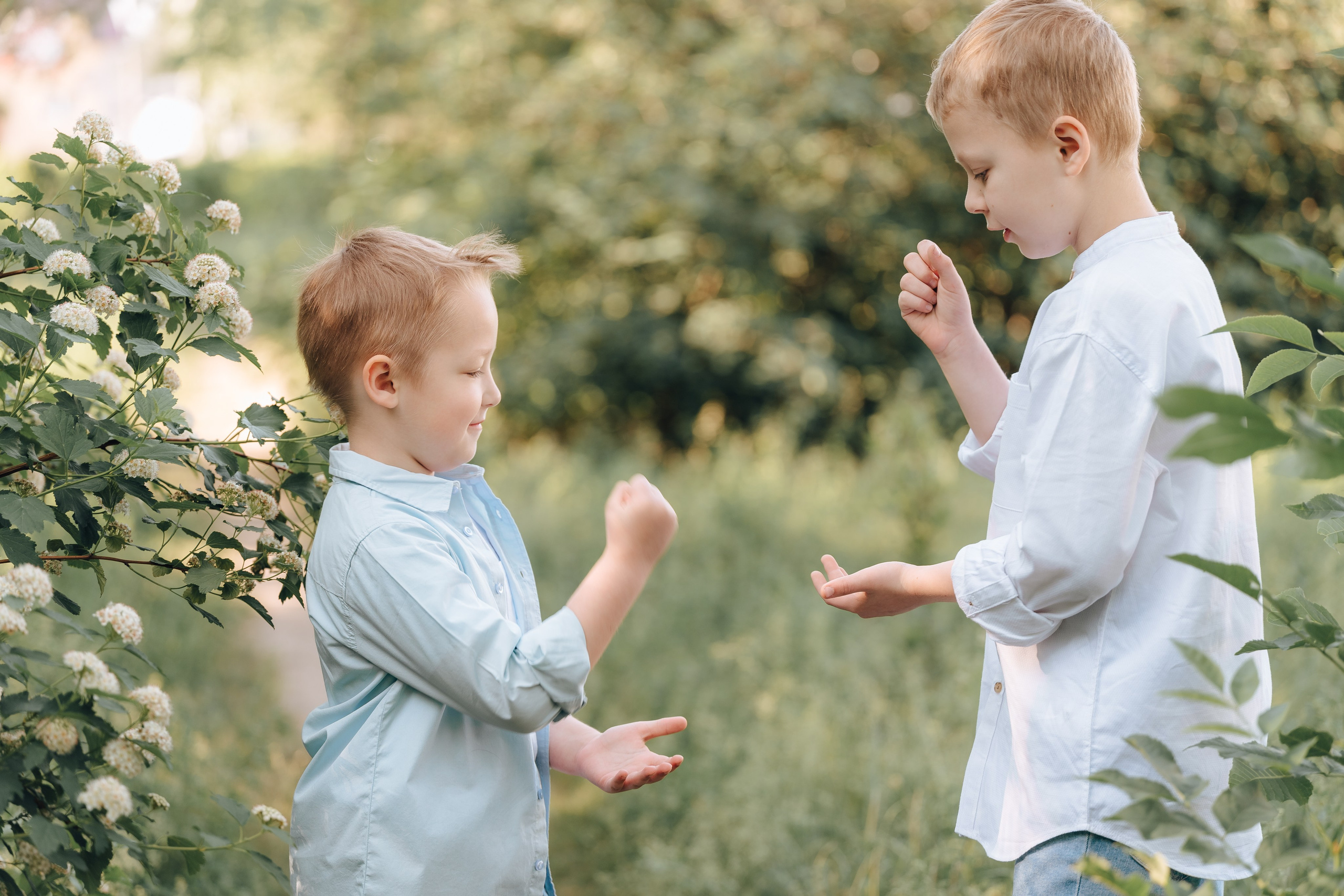 Братишки. Детский и семейный фотограф Катерина Мишина