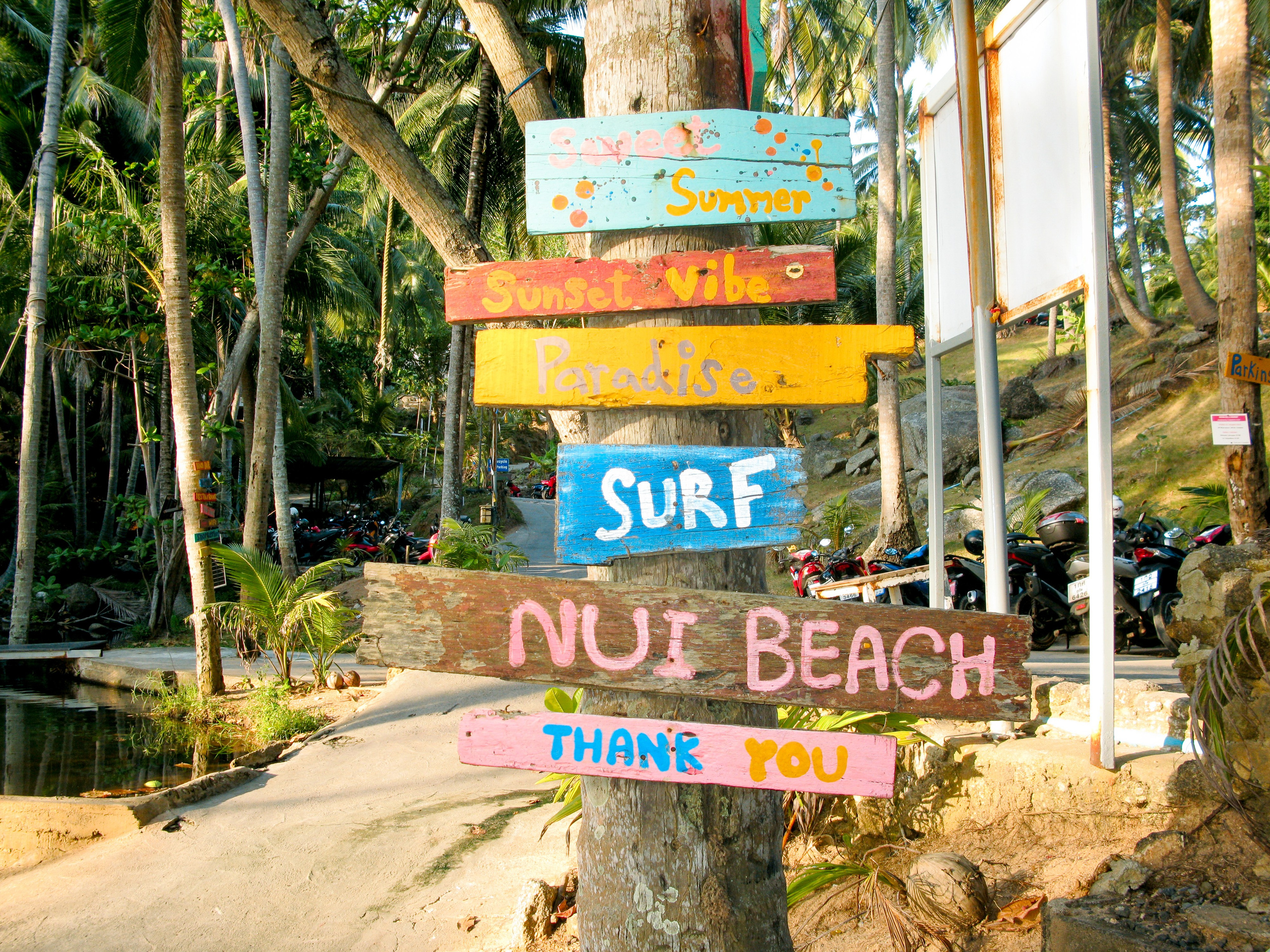 Thai. Фотограф Миланазавр