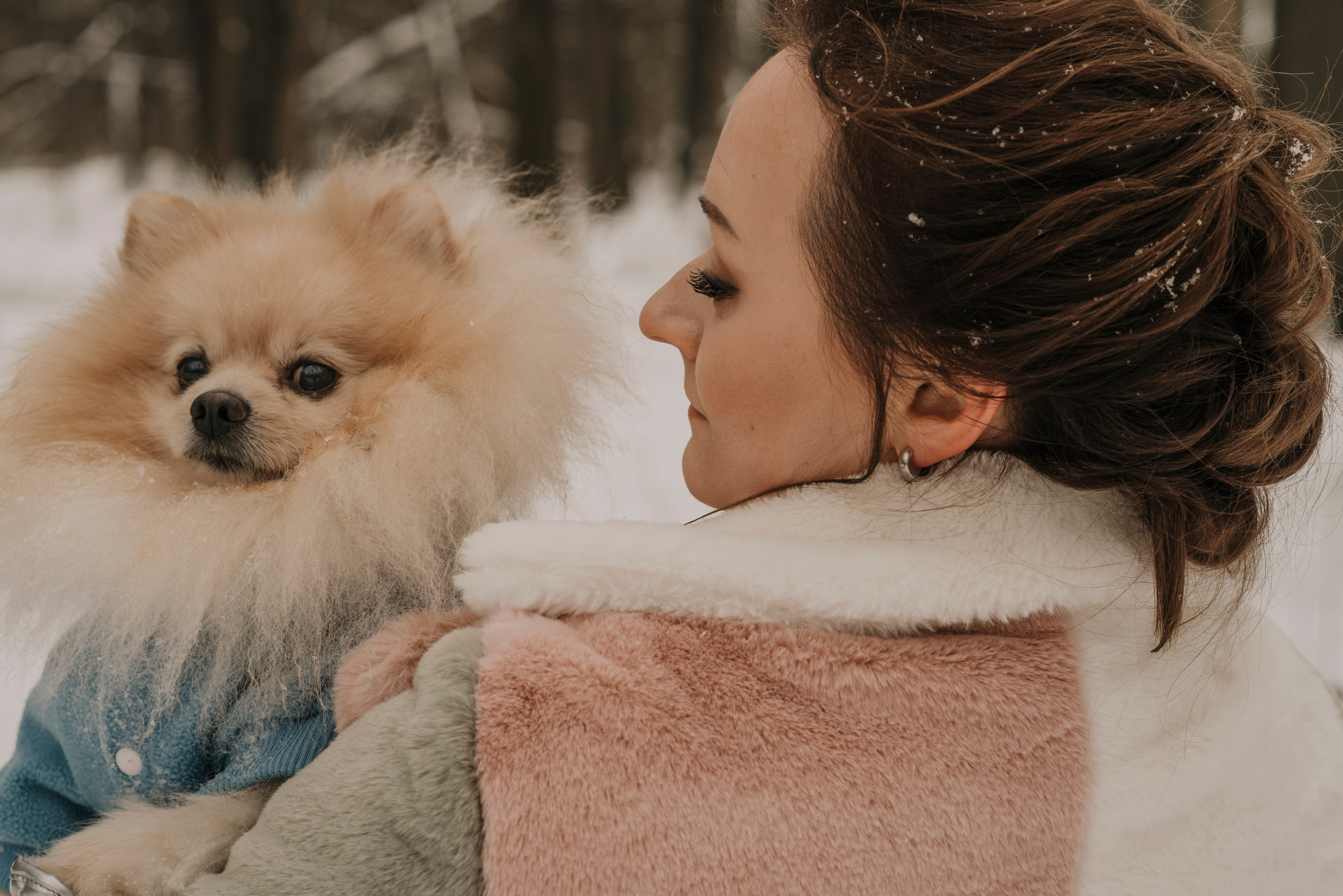 Фотопортрет женщины и собаки шпица на фоне зимнего затсенеженного леса