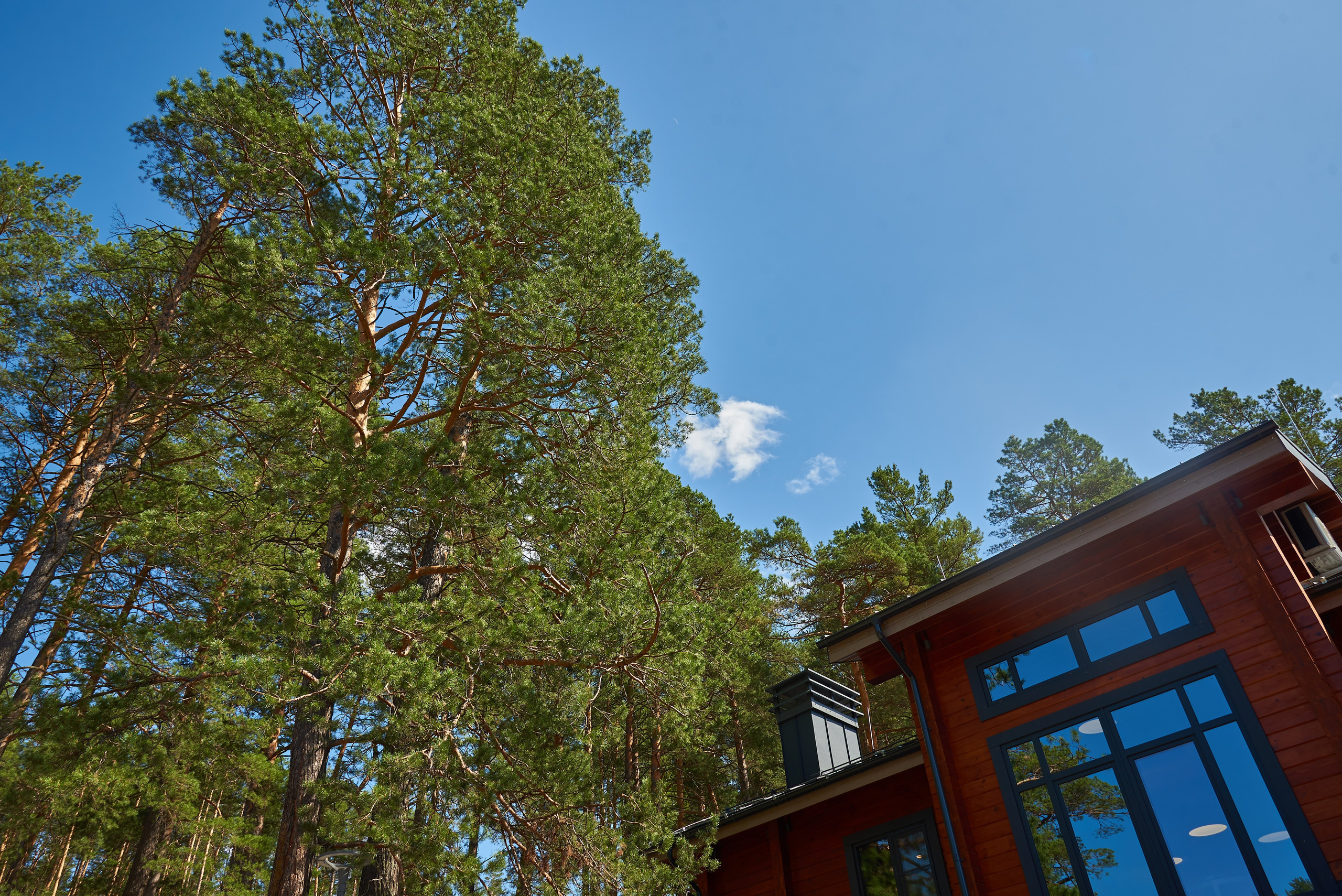 Отель «Лес». Семейный фотограф в Барнауле, Горный Алтай, Заринск, Алейск