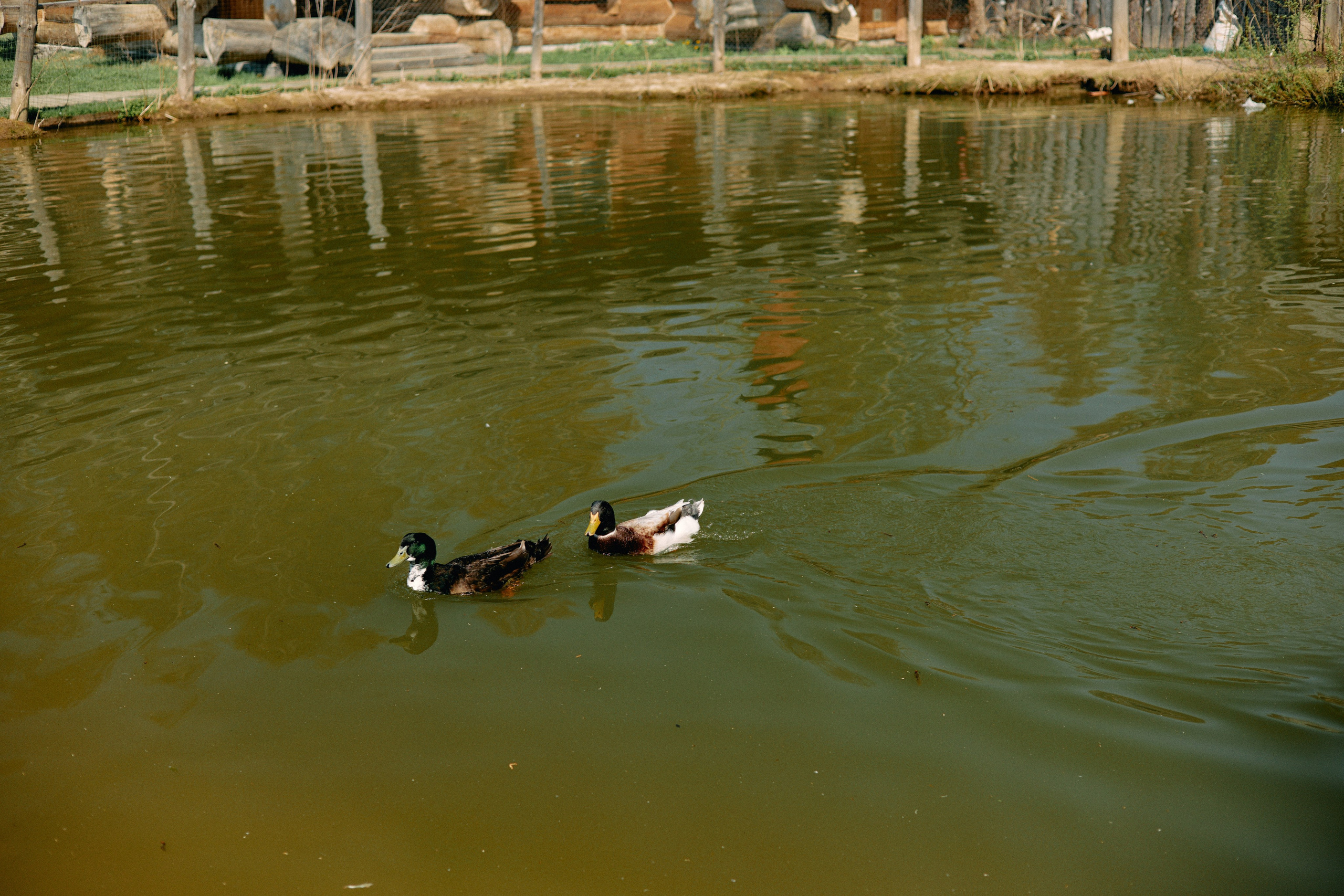 Бутик-отель Поле летом. Профессиональный Фотограф во Владимире, в Москве и в Суздале — Полина Романычева