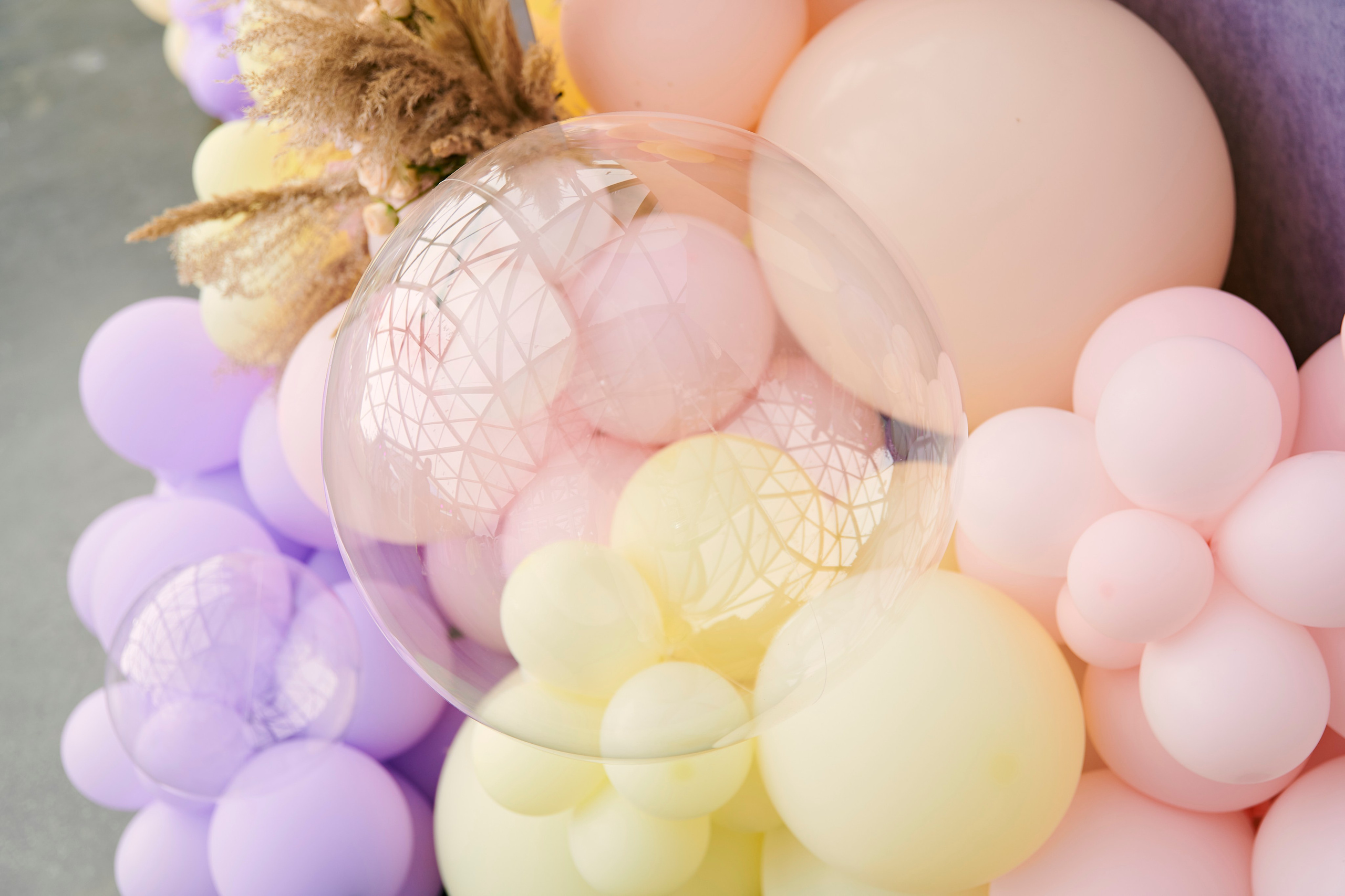 Happy Birthday Даниэла. Фотограф Постольник Дарья