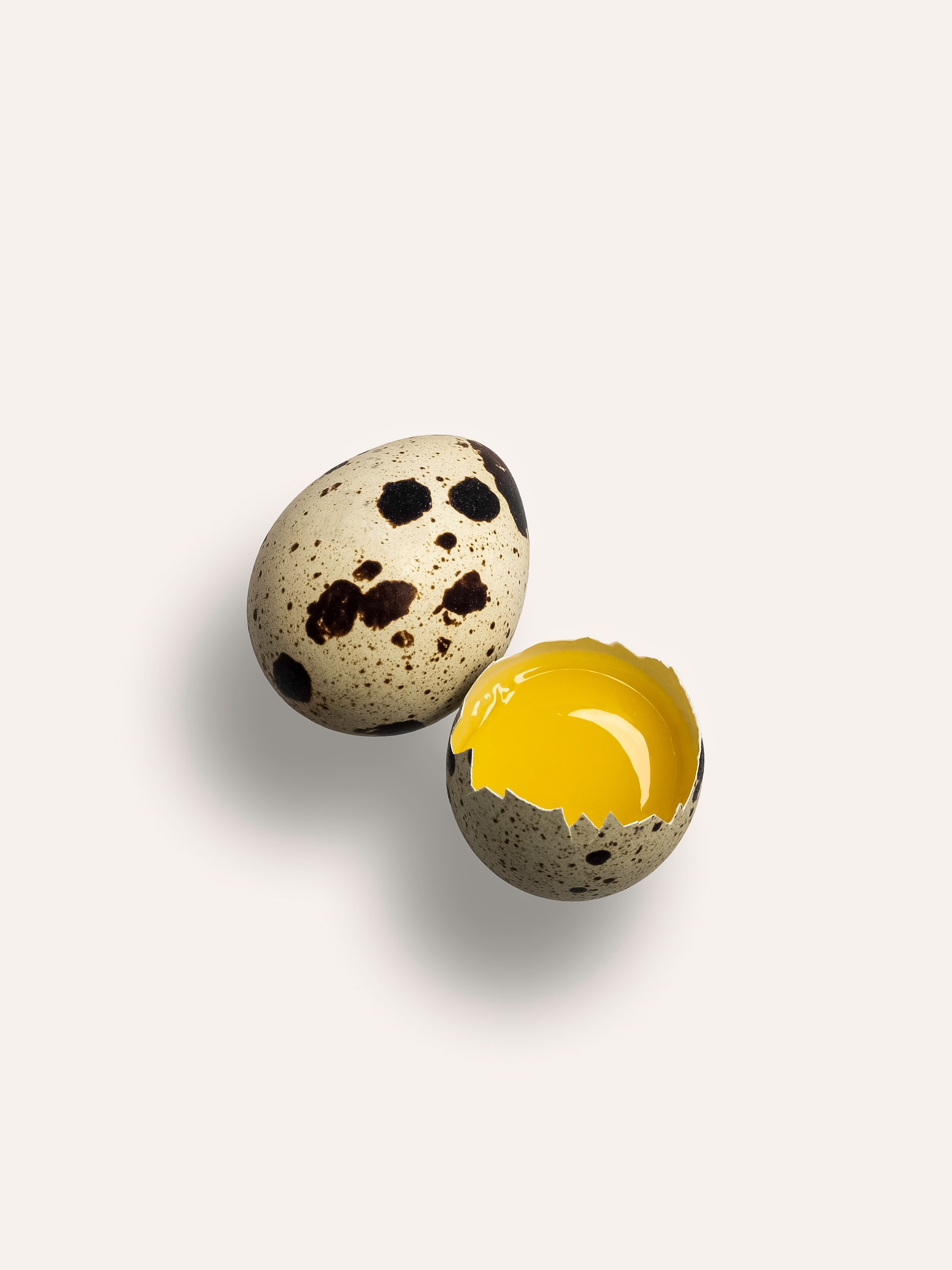 Каталожная съемка для маркетплейсов. Фотограф в Москве | Синицына Тамара