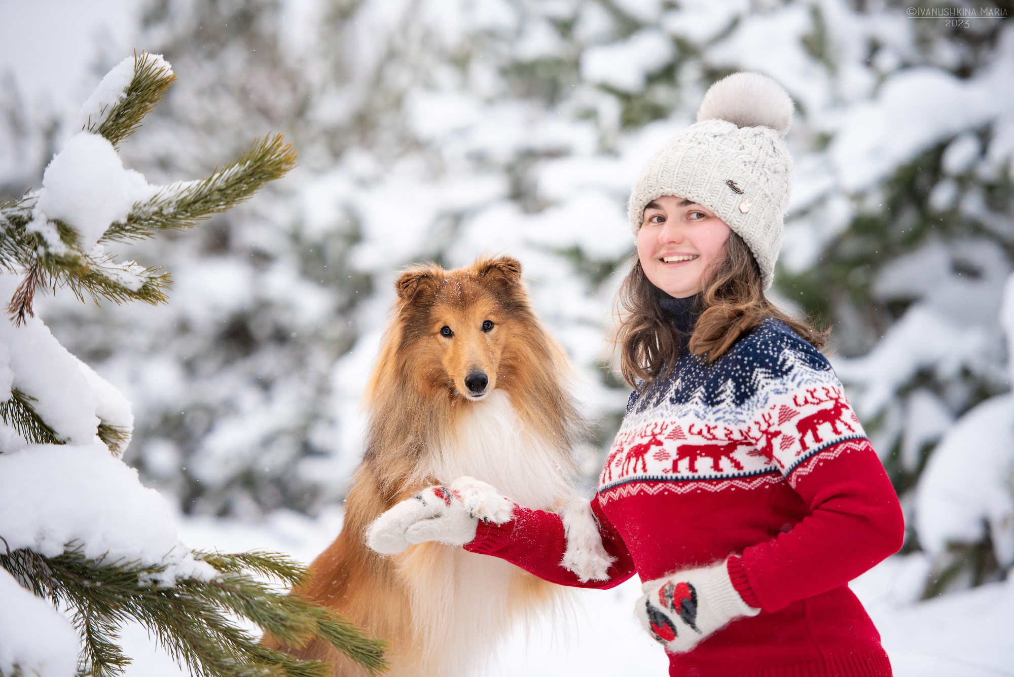 Фотосессия с собакой. Фотограф собак в Москве и Московской области Иванушкина Мария