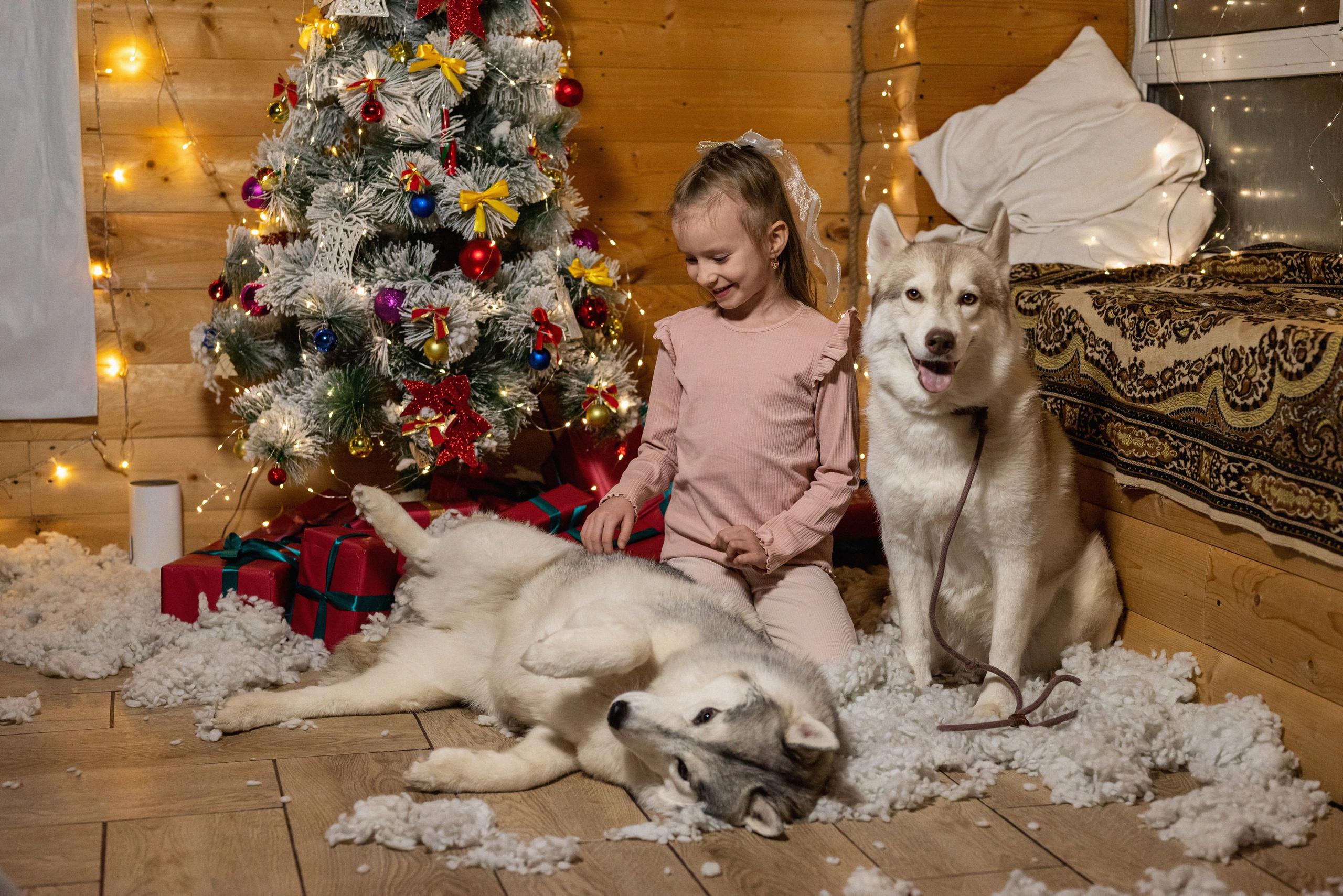 Фотопроект с хаски 2024 г. Фотограф в городе Салават