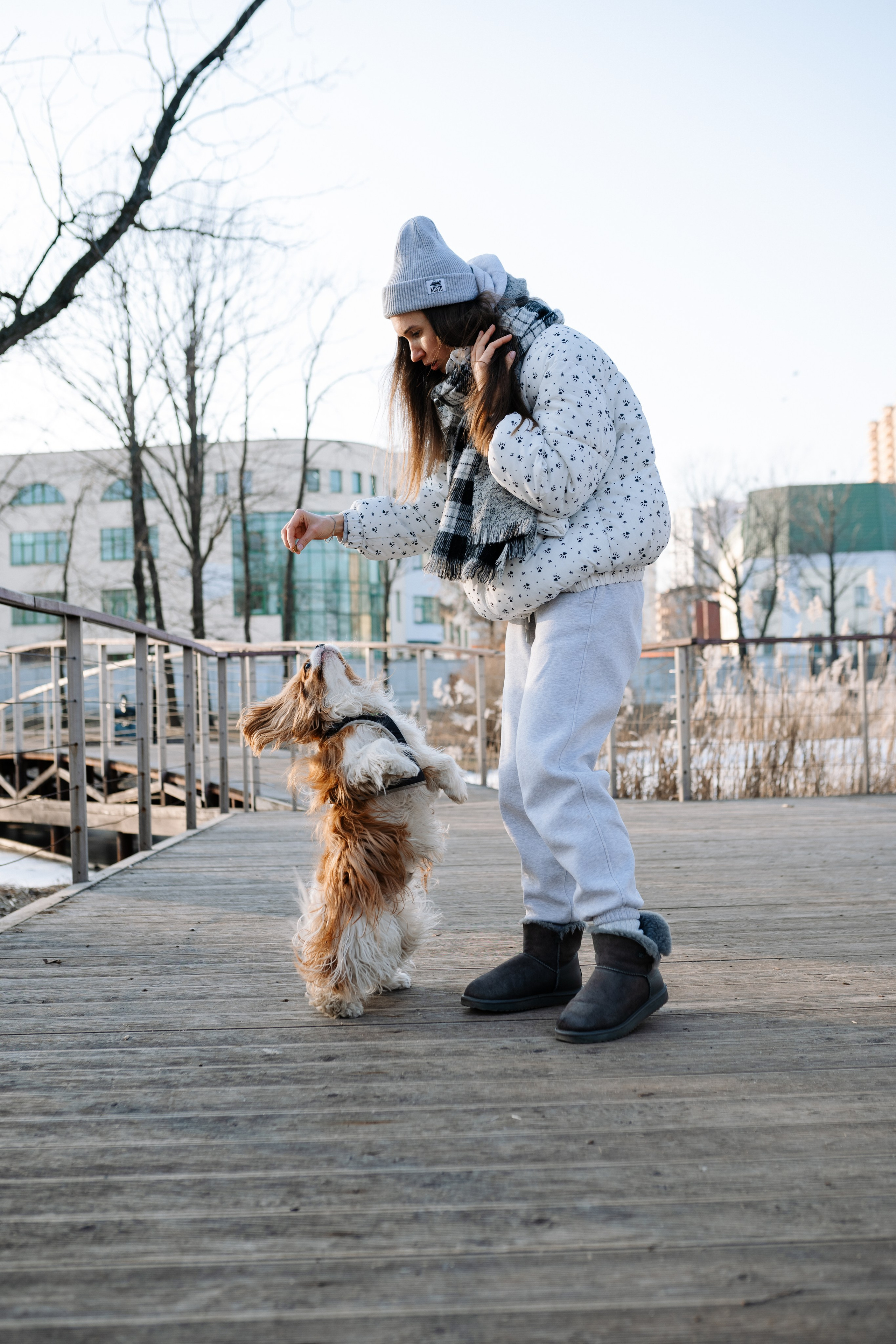 Лена и Арчи. Фотограф анималист в Москве Ольга Агушева