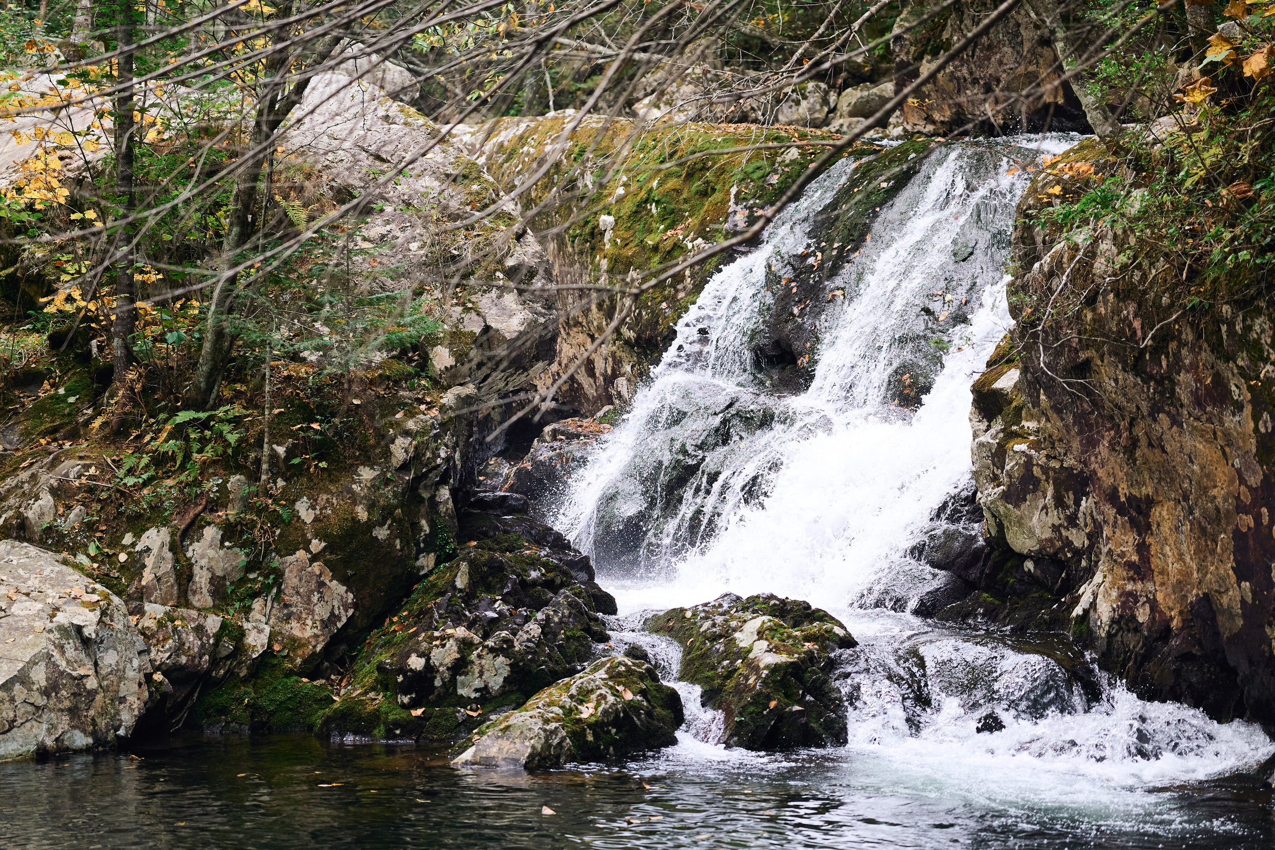 Фото поход на медвежью гору. Фэшн-фотография и портреты в Владивостоке. Превращаю съёмку в повествование — создаю образы с сюжетом, которые остаются в памяти