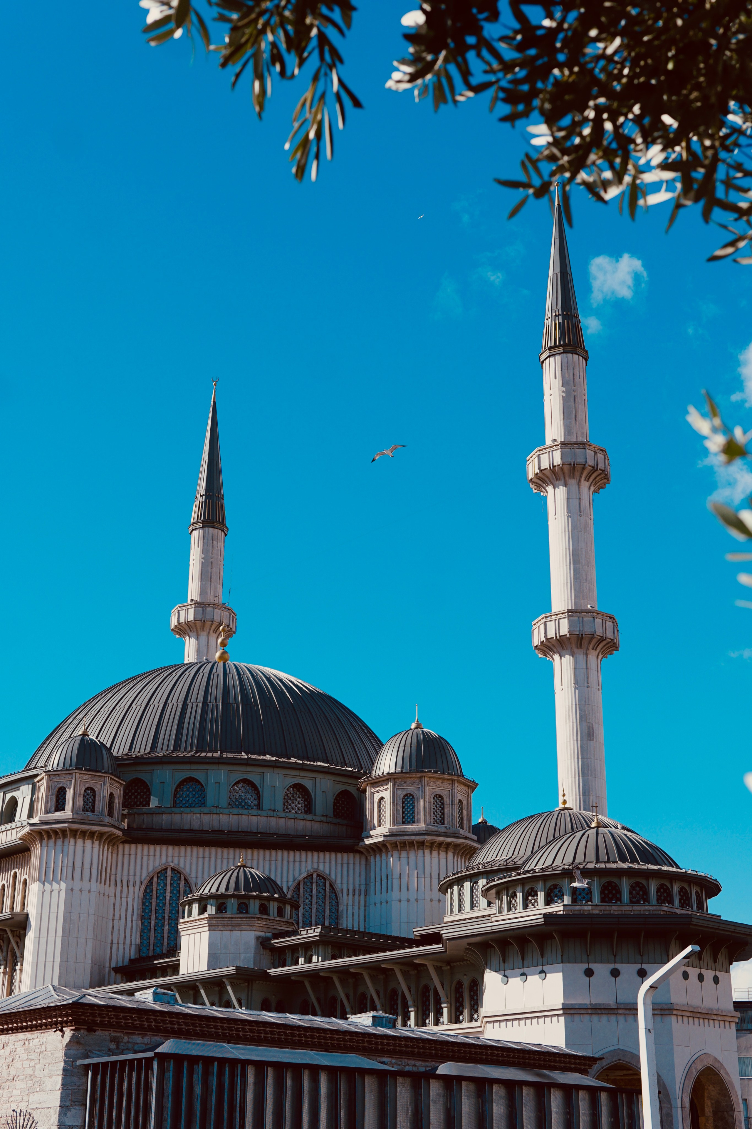 Стамбул. Фотограф в Москве Юлия Першина