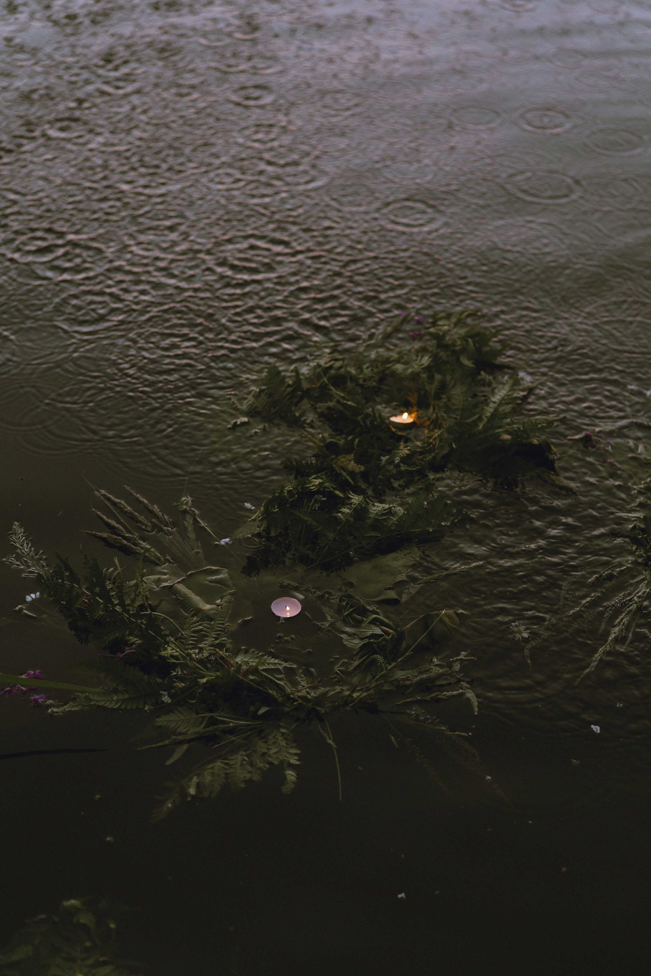 Девушки праздновали Купалу. Фотограф Надежда Погребняк | Рязань | Москва