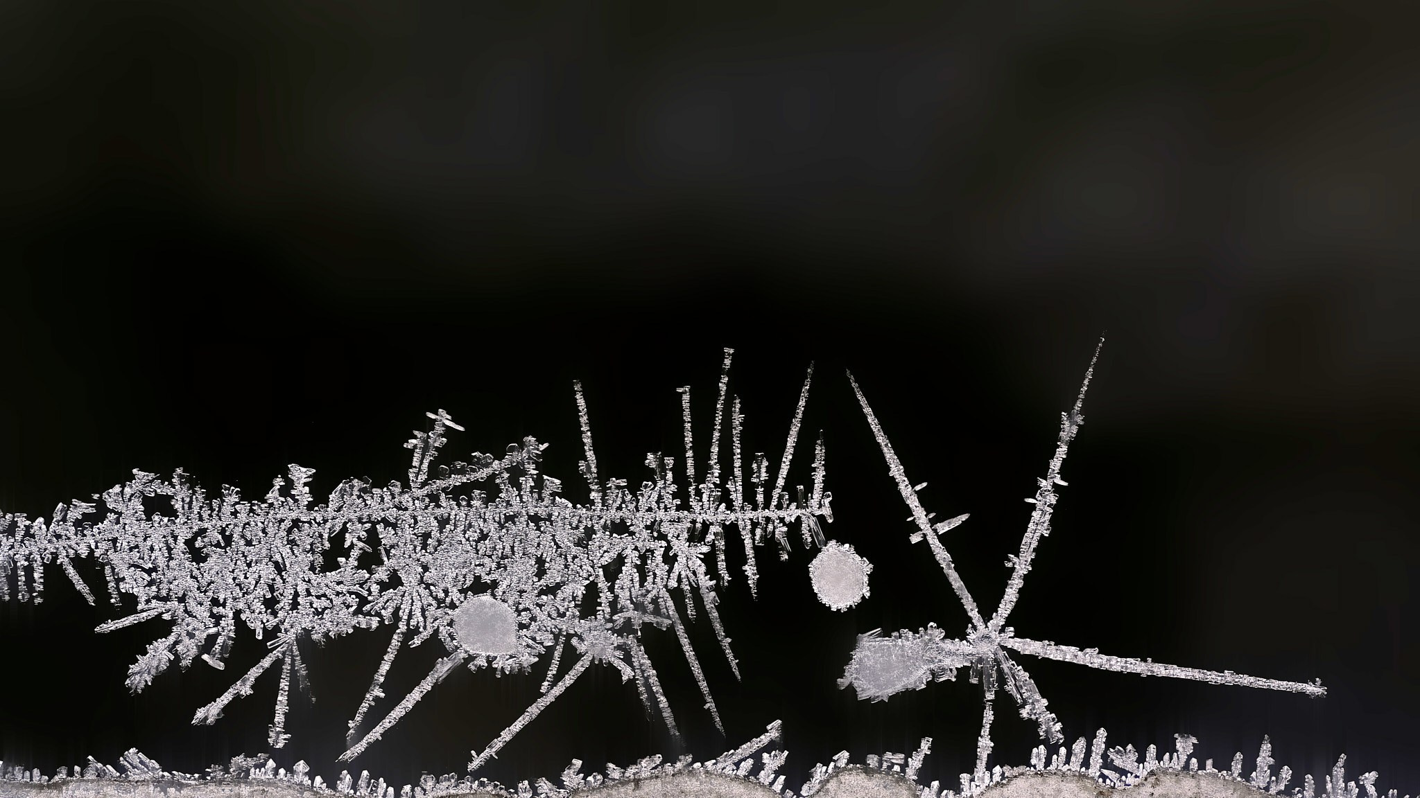 Зимние образы. Вадим Шейдин