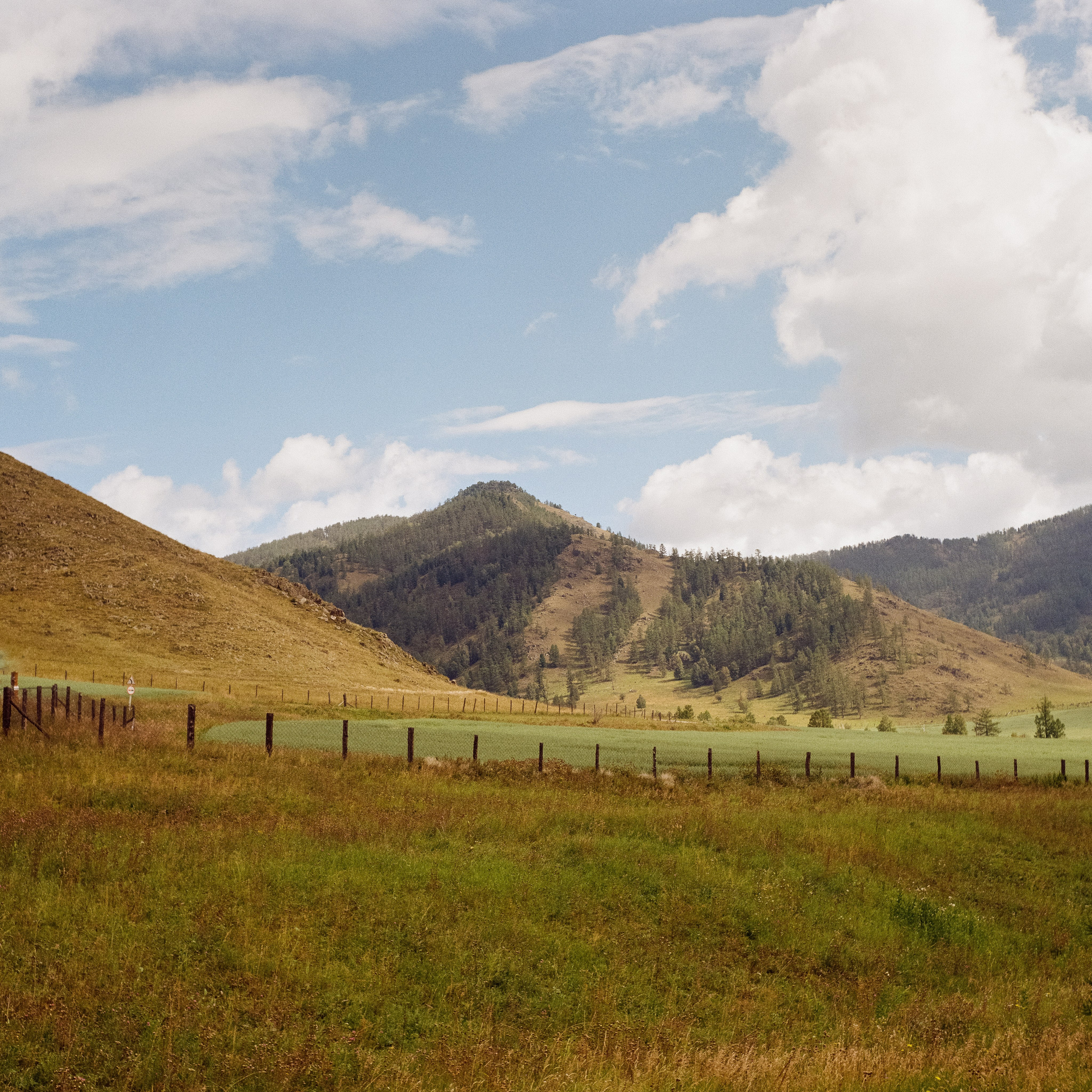 Алтай 08-09/2024