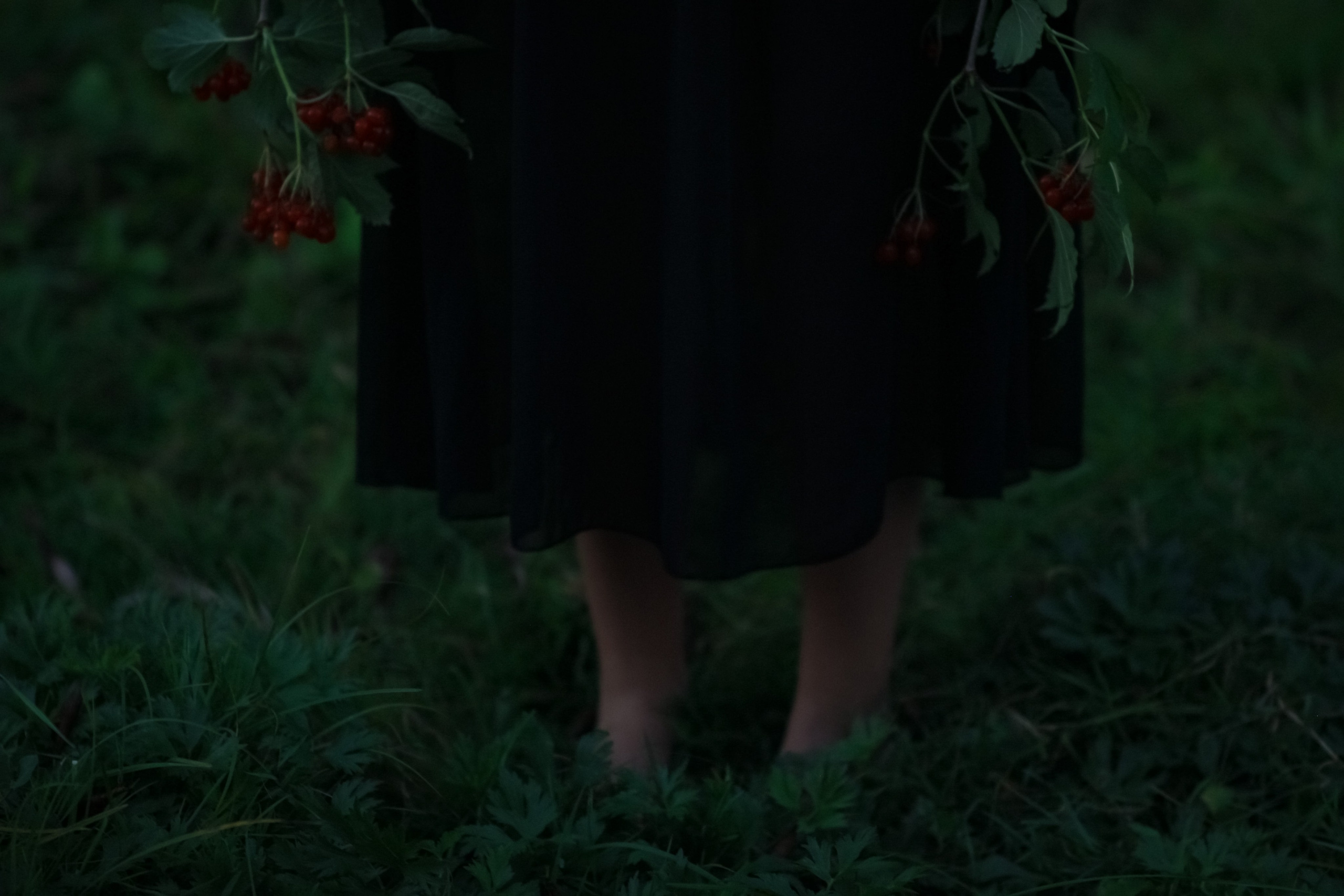 Варвара. Лиза Рязанцева