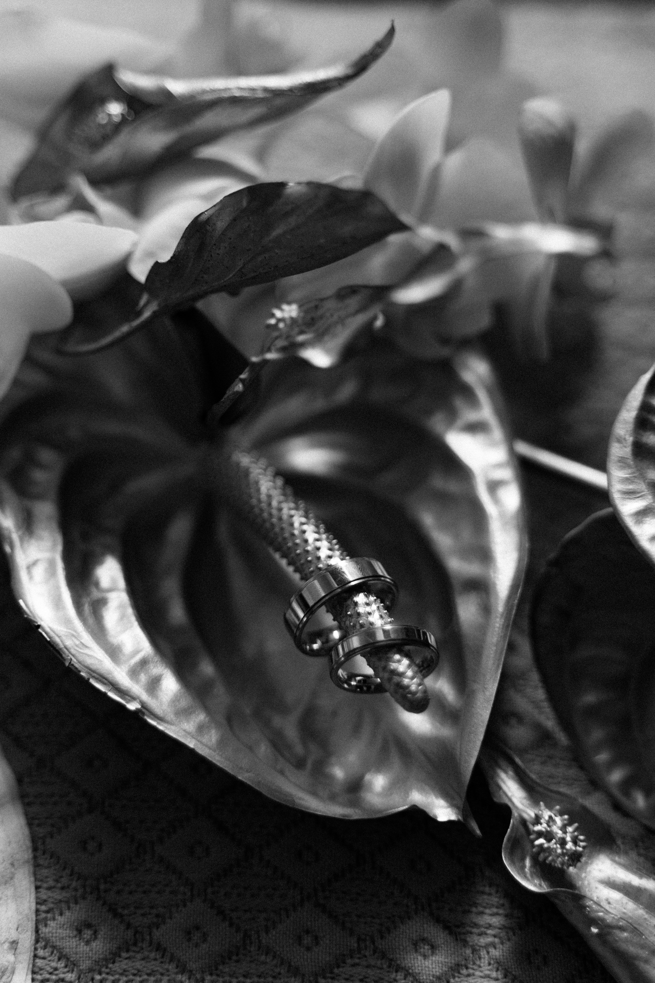 Полина и Дима. Фотограф в Москве Наталия Варакина