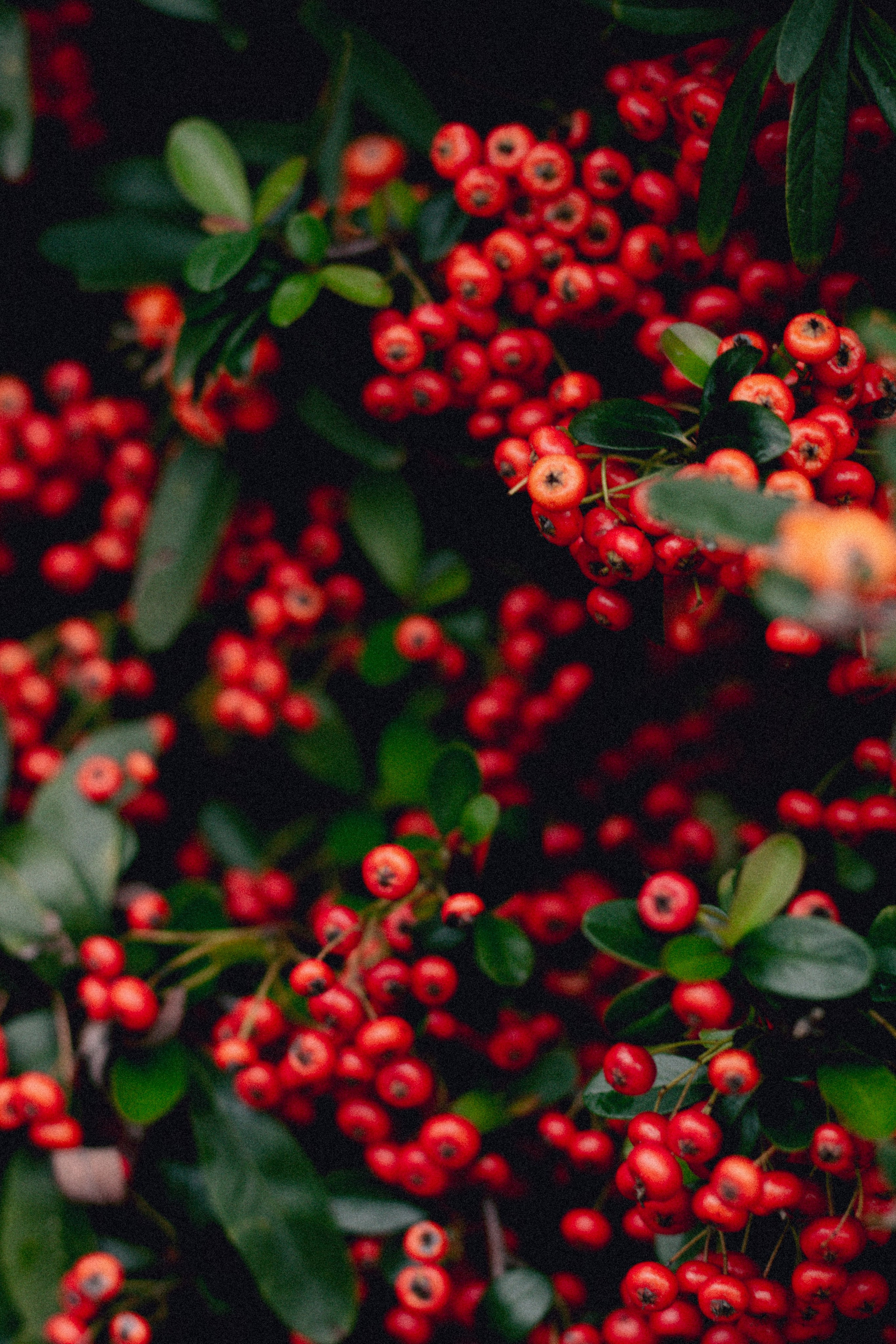 Замечательная повседневность. Контент-фотограф и видеограф в Перми