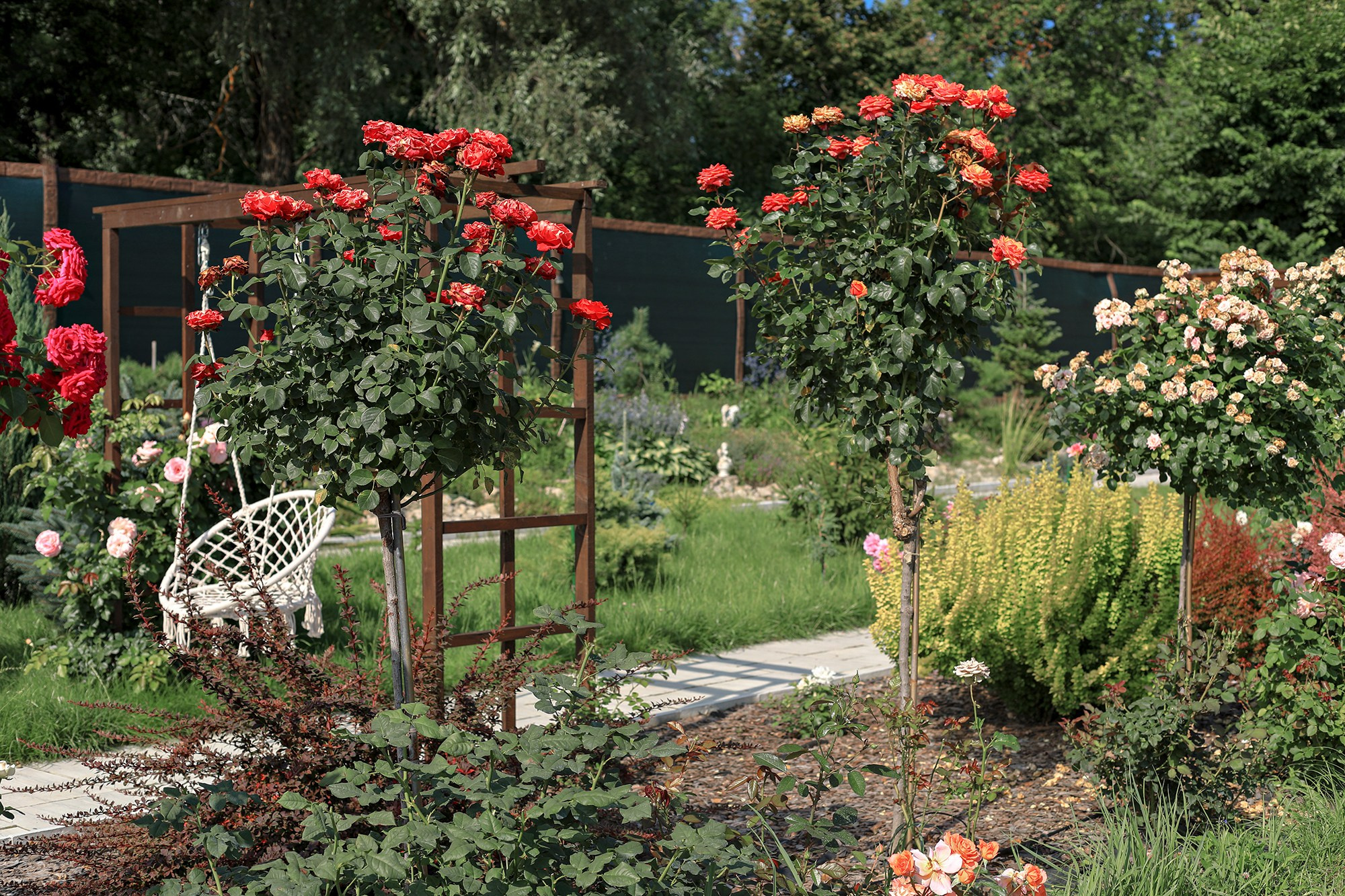Парк-заповедник Купидон. Семейный фотограф в Димитровграде Елена Патрушева