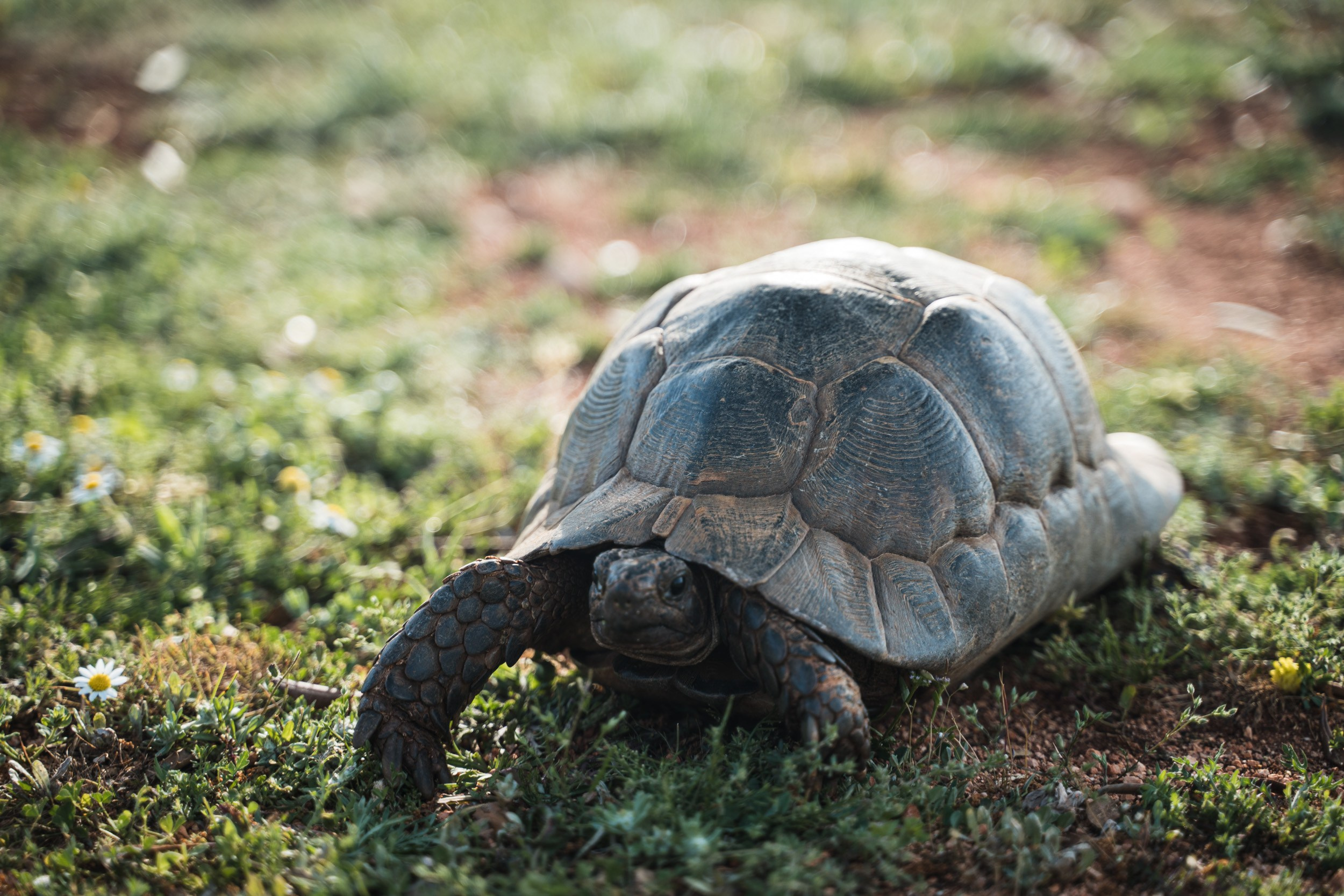 Турция. Западная Ликийская тропа. Фотограф в поход и восхождение на Эльбрус Игорь Косарев