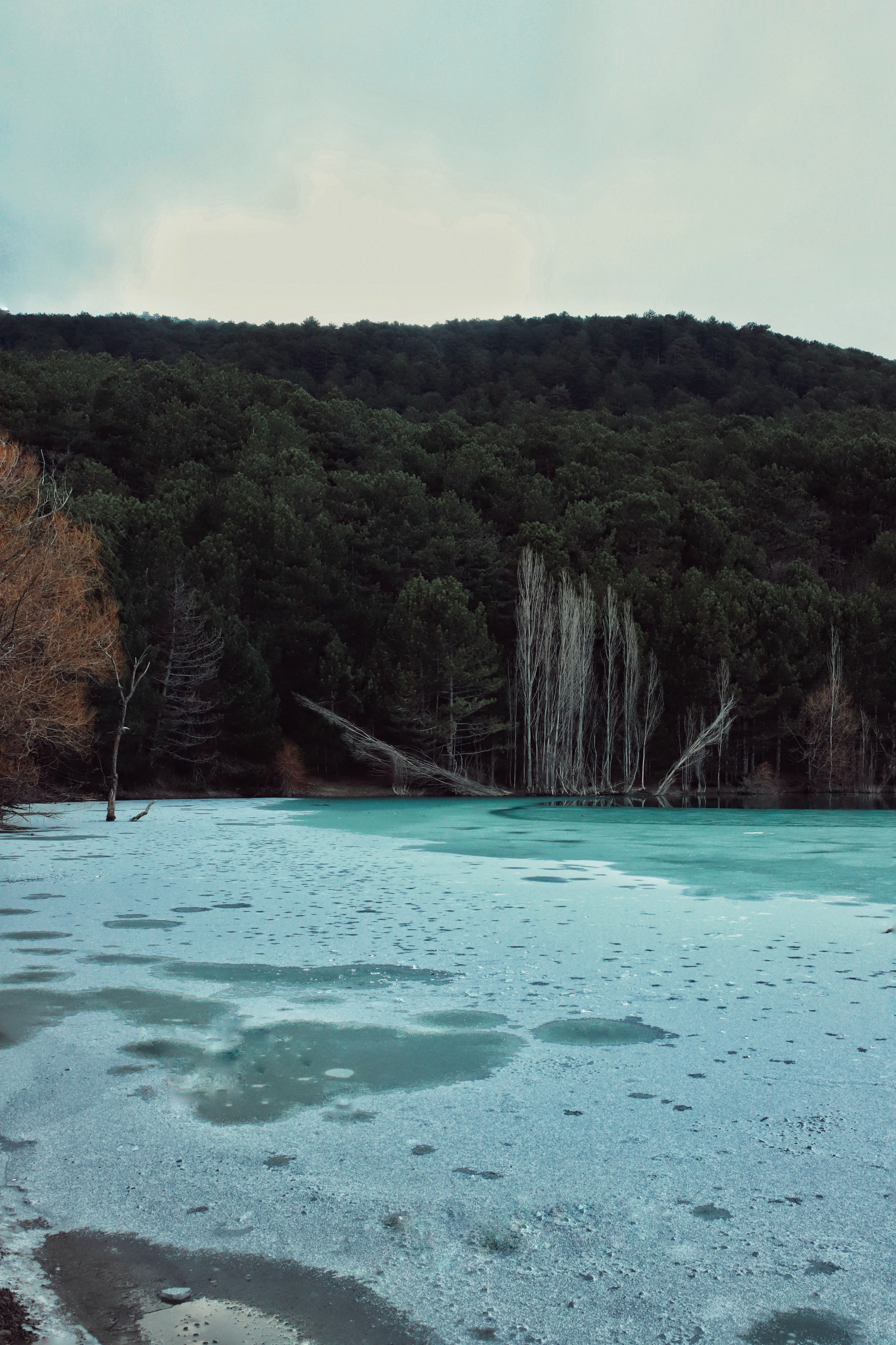 Бирюзовое озеро. Фотограф и видеограф в Санкт-Петербурге