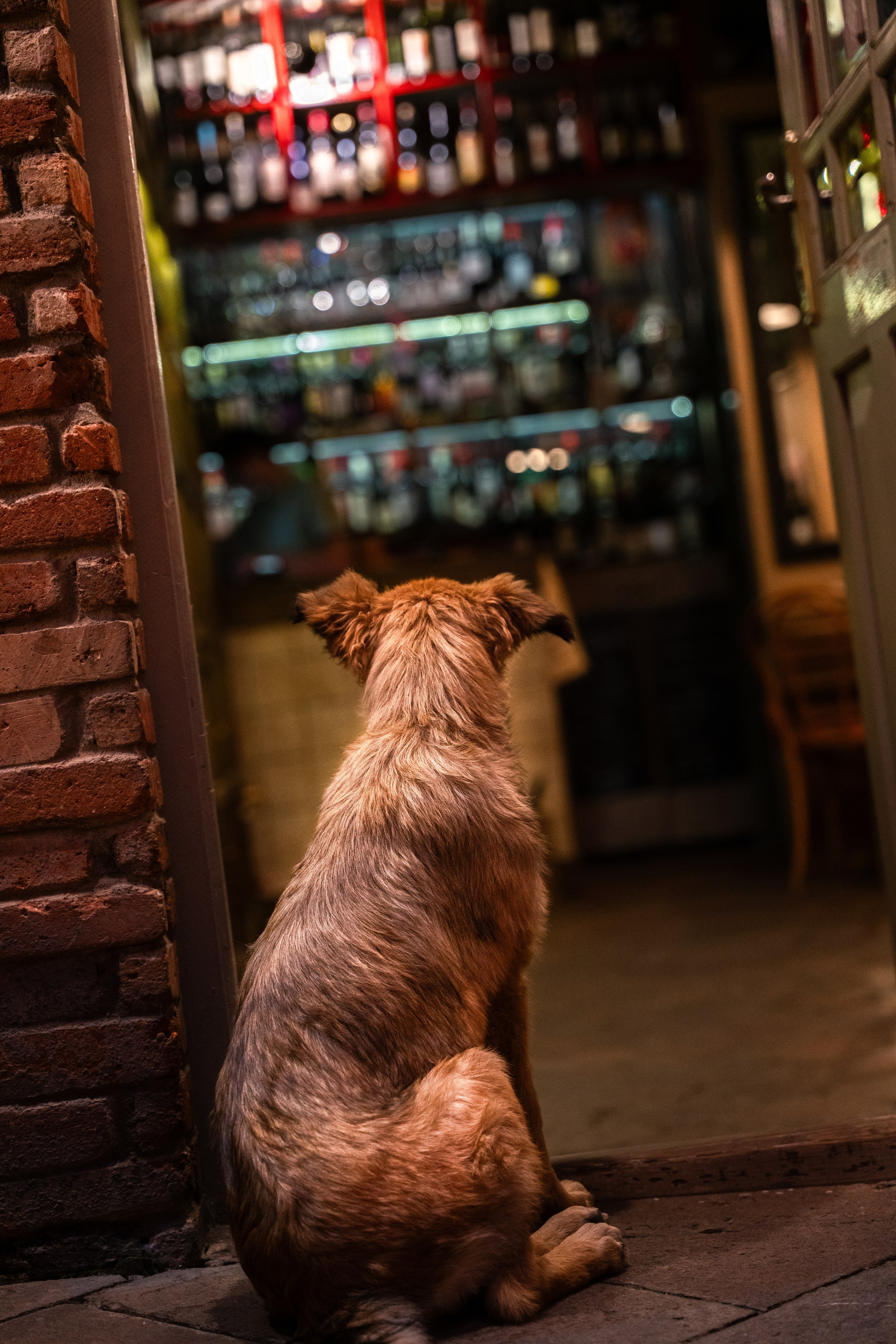 УЛИЦЫ. ПОБУДЬ ЗДЕСЬ И ЦЕЛЕЕ БУДЕТ ЭТОТ МИР