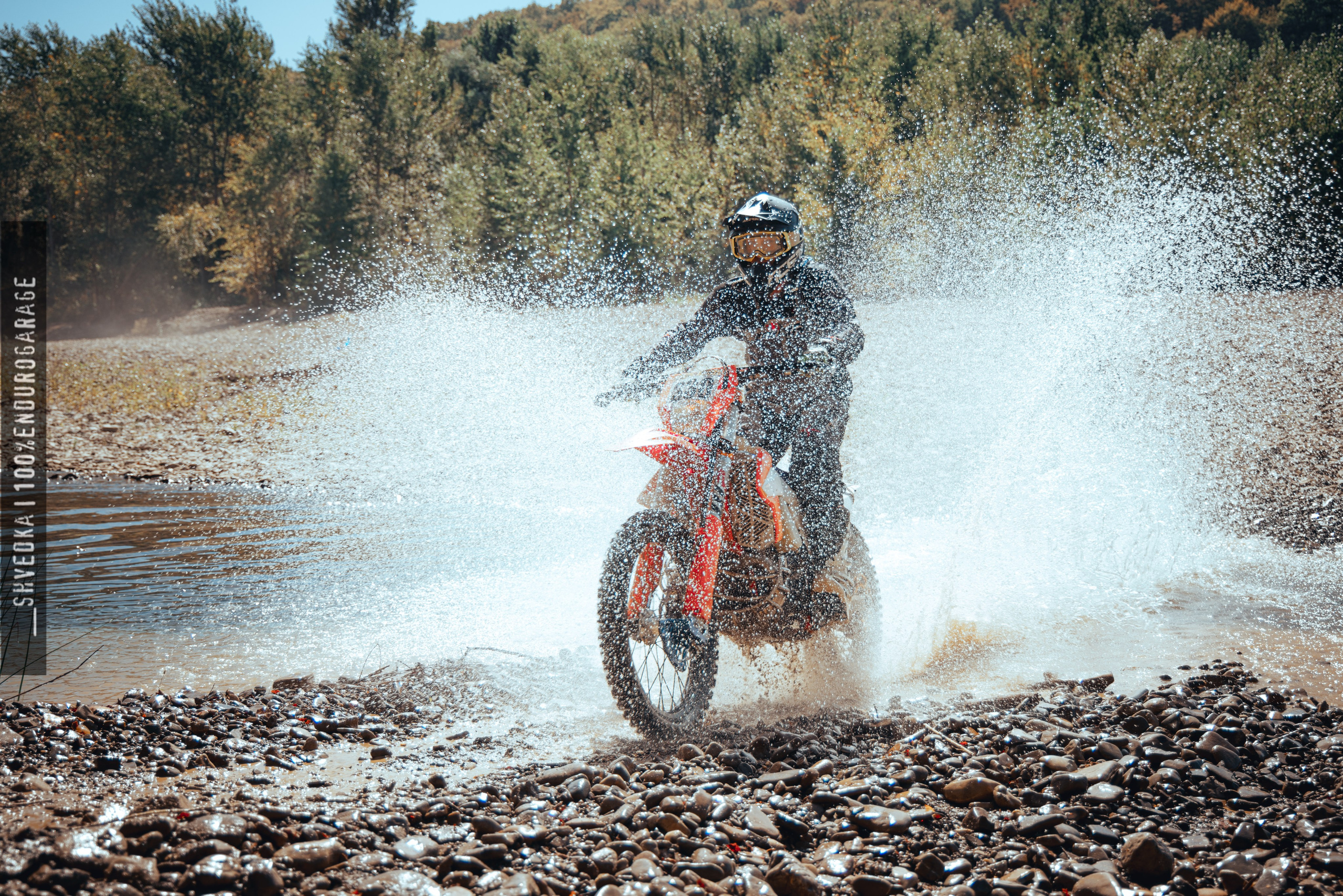 1 лесной день. Ваш экстрим фотограф Кудрева Яна