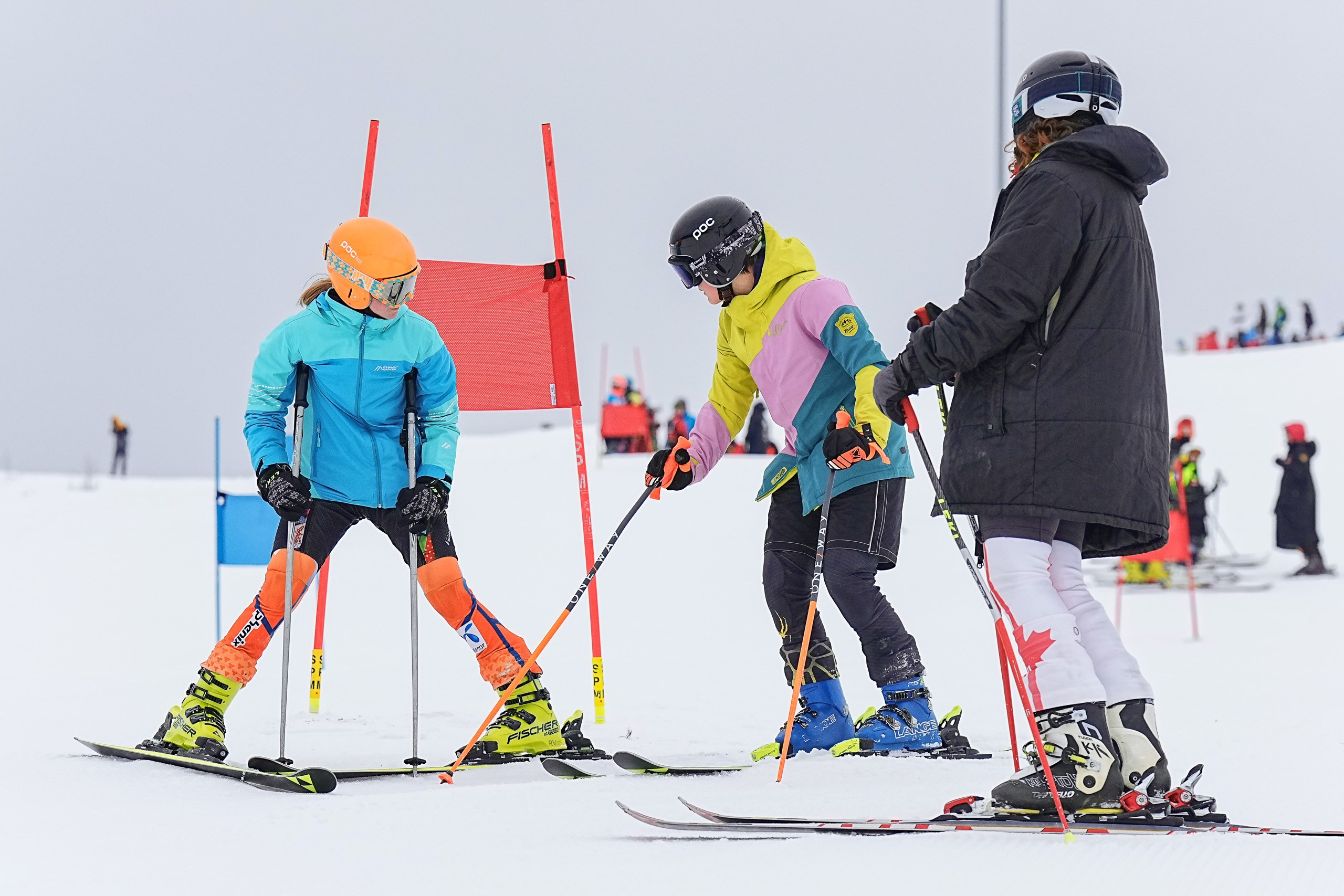 Горные лыжи. Первенство Центрального Федерального Округа. GS U16 Шуколово. Фотограф Студитский Евгений