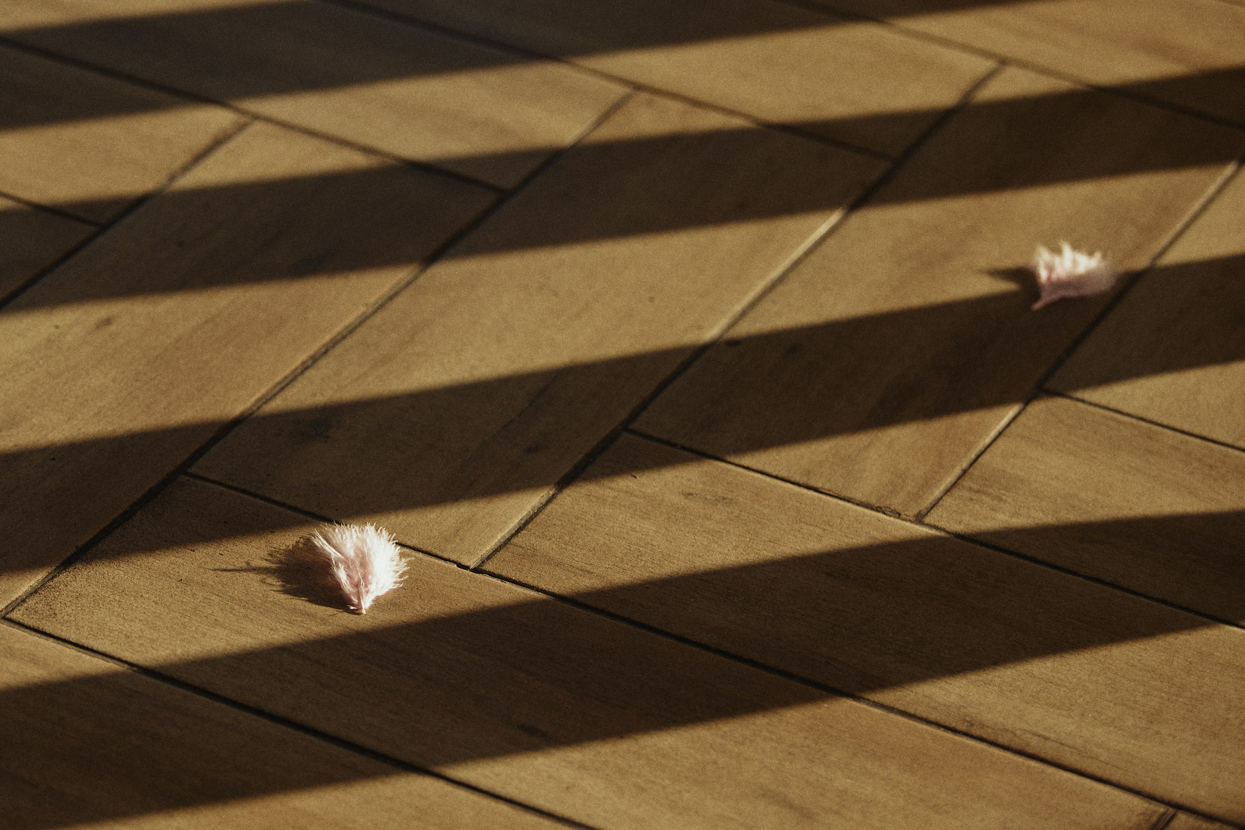 THE GRAND BUDAPEST. Дмитрий Мазуркевич: Профессиональный Репортажный Фотограф
