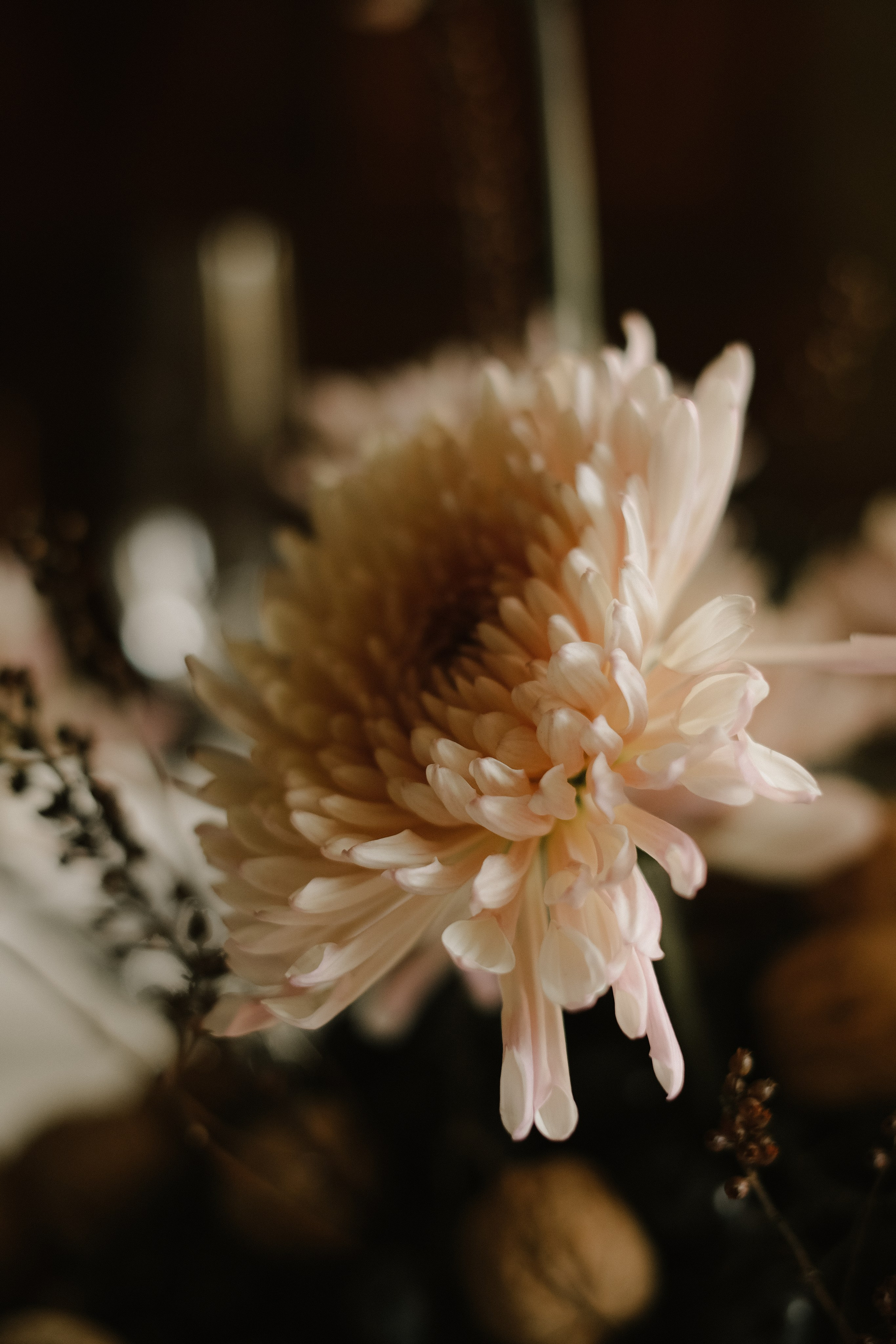 Photographer_anastasia_margushina