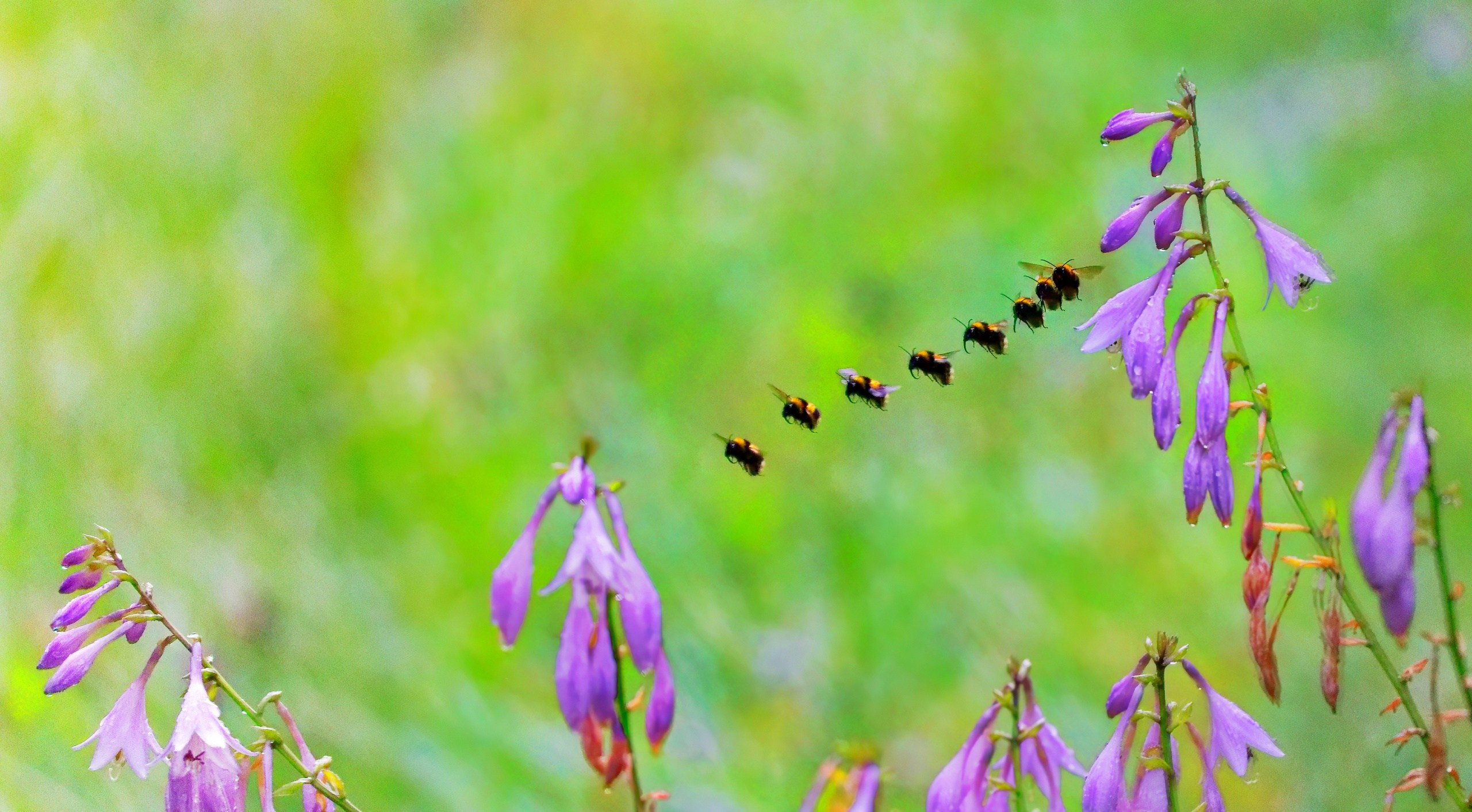 ПРИРОДА. Слепки времени. Фотографии природы и событий. Москва. Сергей Аллагулов