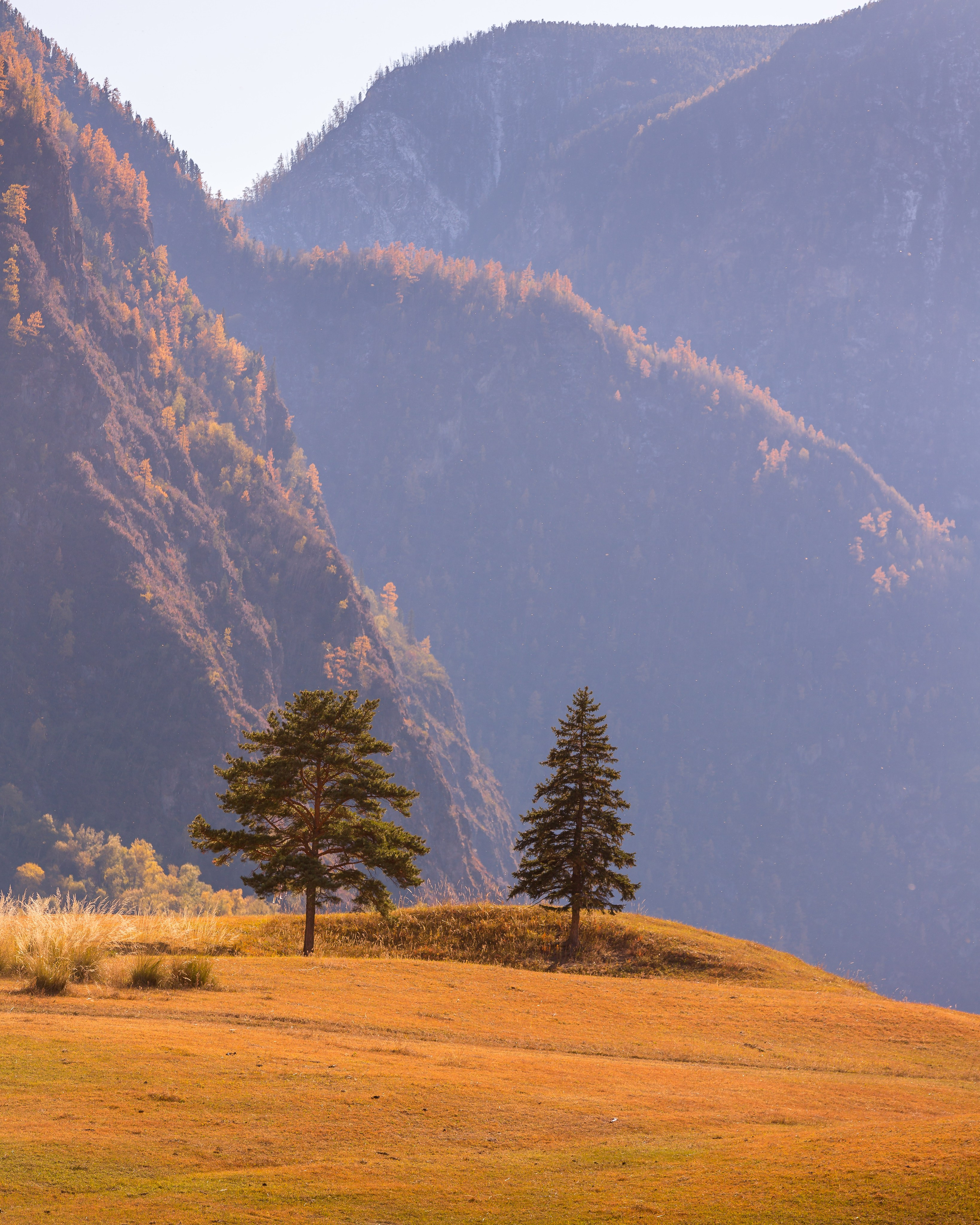 Алтай осень. Фотограф Евгений Кожевников